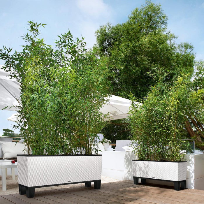 Vasi Fioriere E Portavasi Leroy Merlin