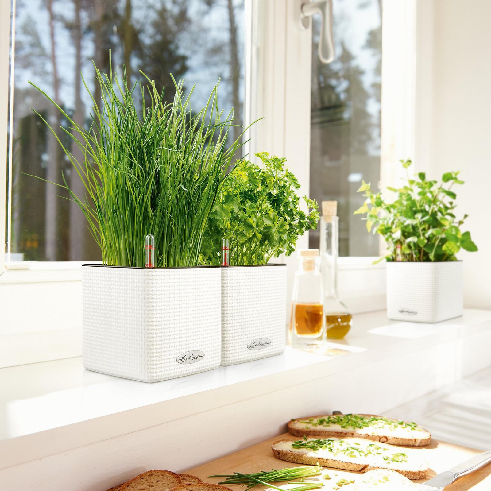 Vaso autoirrigante LECHUZA in polipropilene bianco H 14 x ø 14 cm - 2