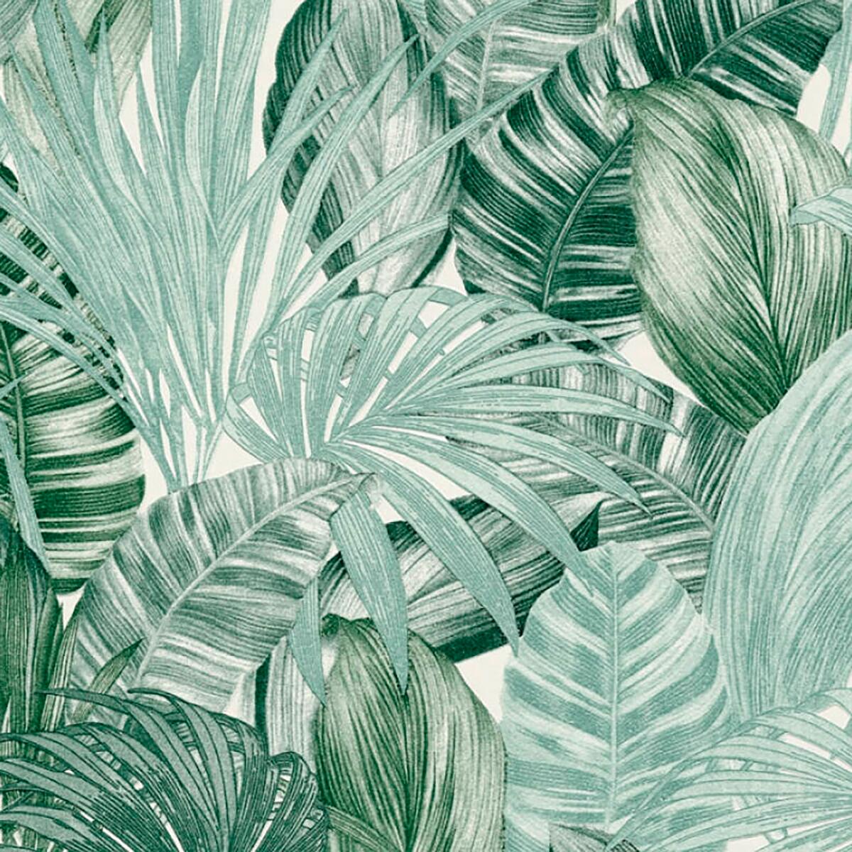 Carta da parati Foglie Jungla Tropicali verde, 53 cm x 10 m - 9
