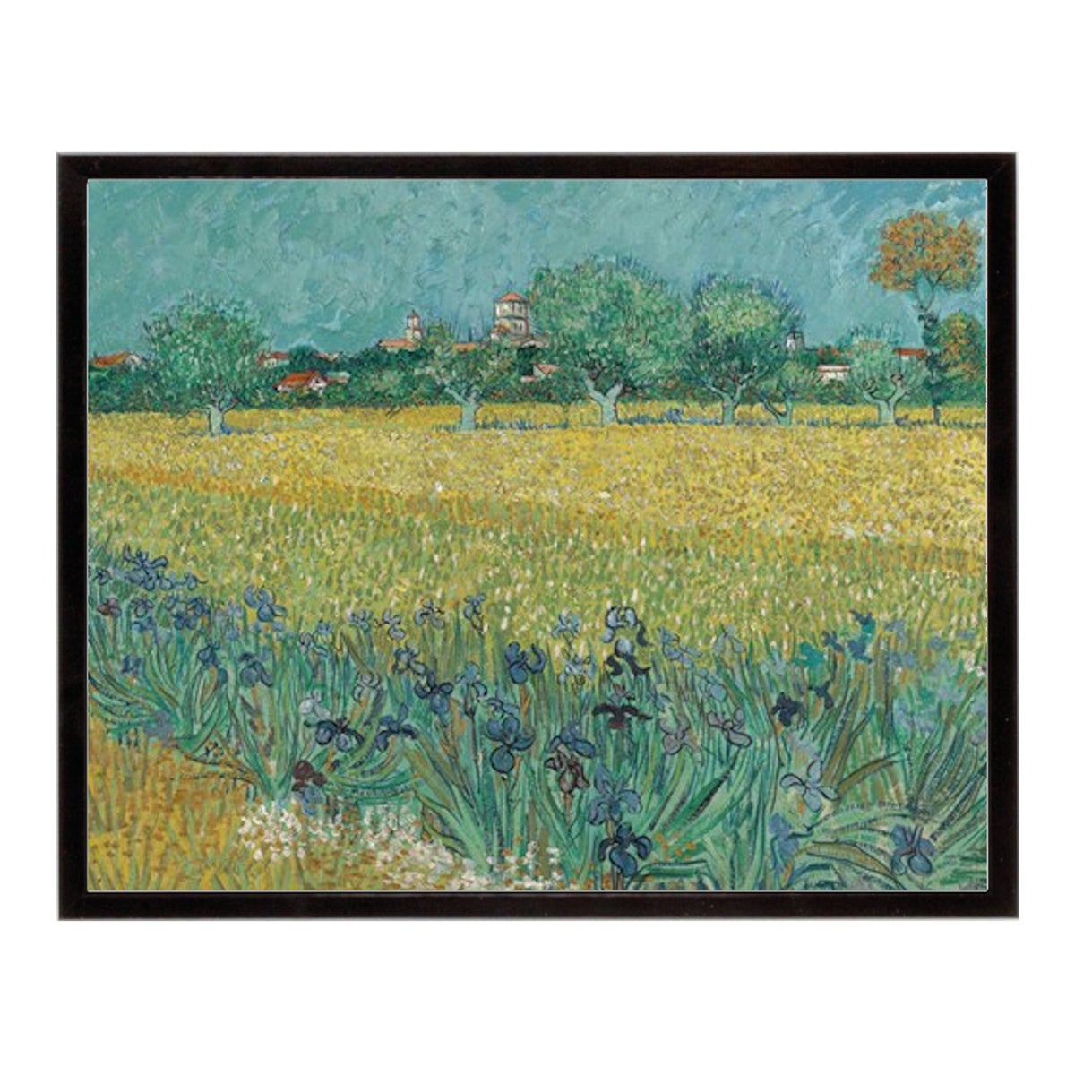 Field With Irises V.G.