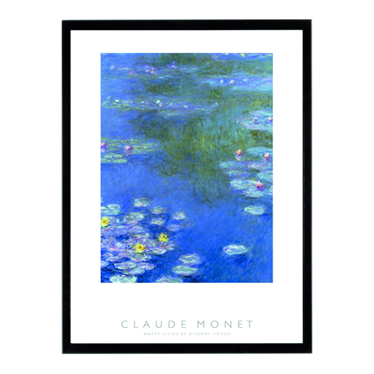 Water Lilies At GIVer