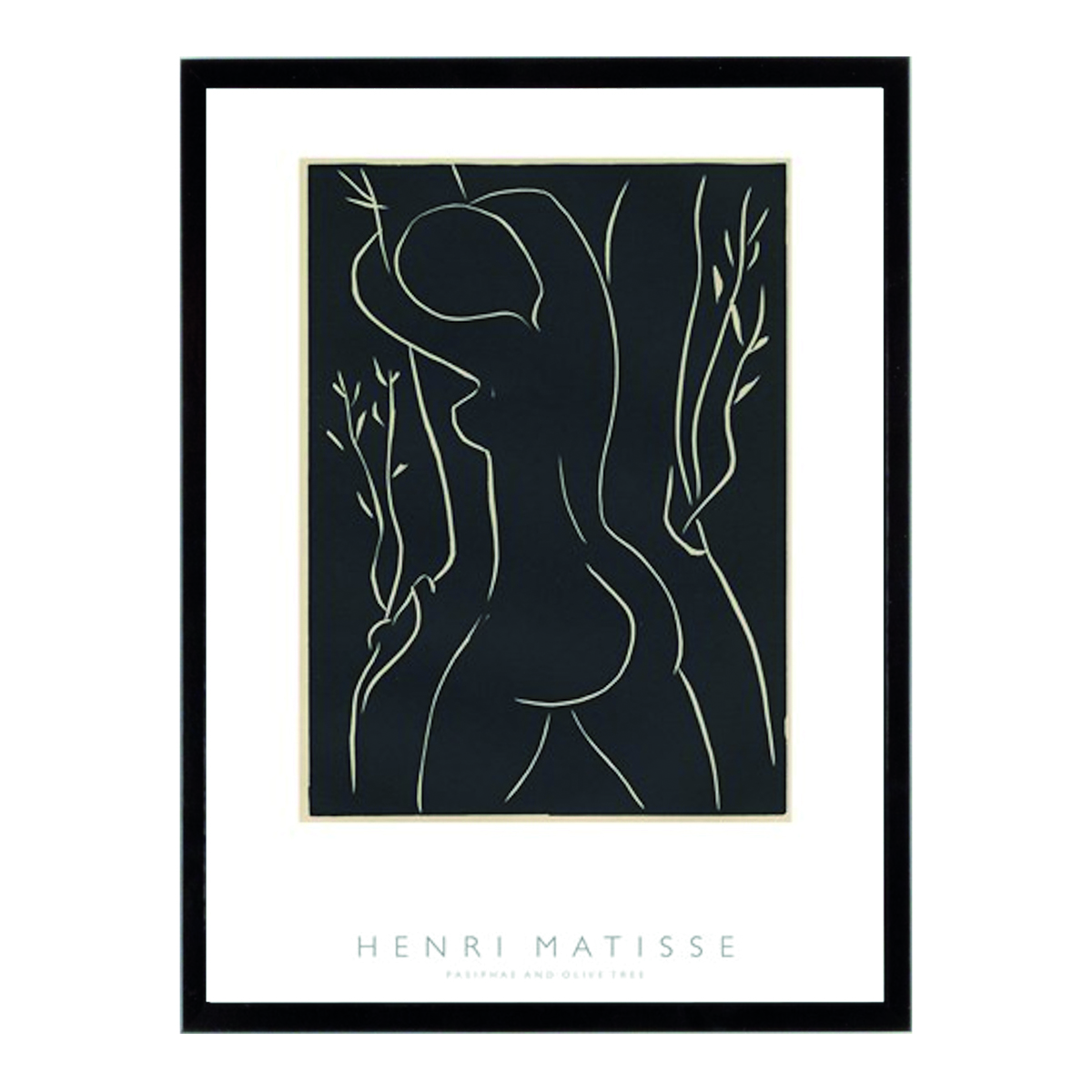 Pasi OlIVe Tree Matis