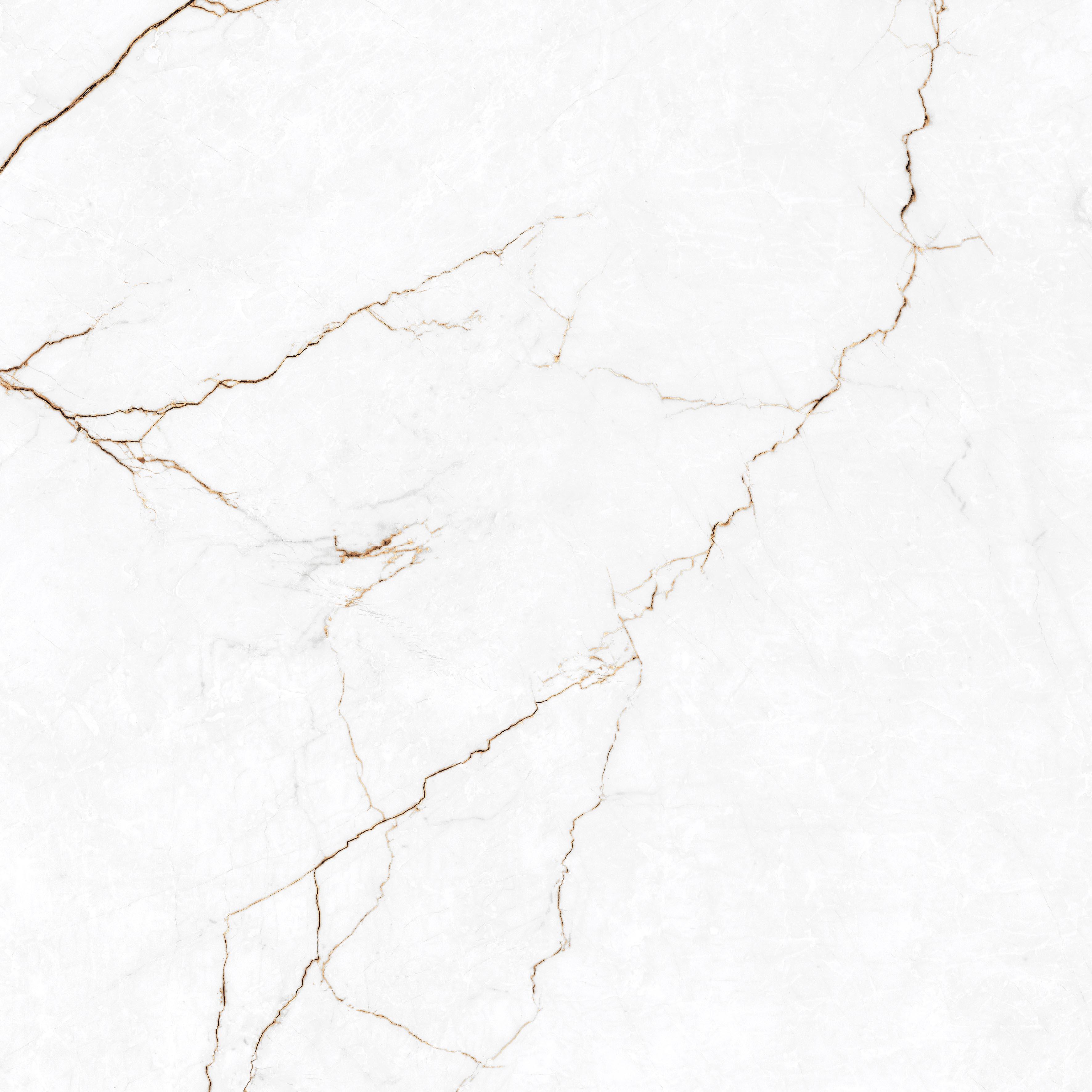 Gres szkliwiony polerowany Rosalio Bianco 120X120 cm 2,88 m2 - 3