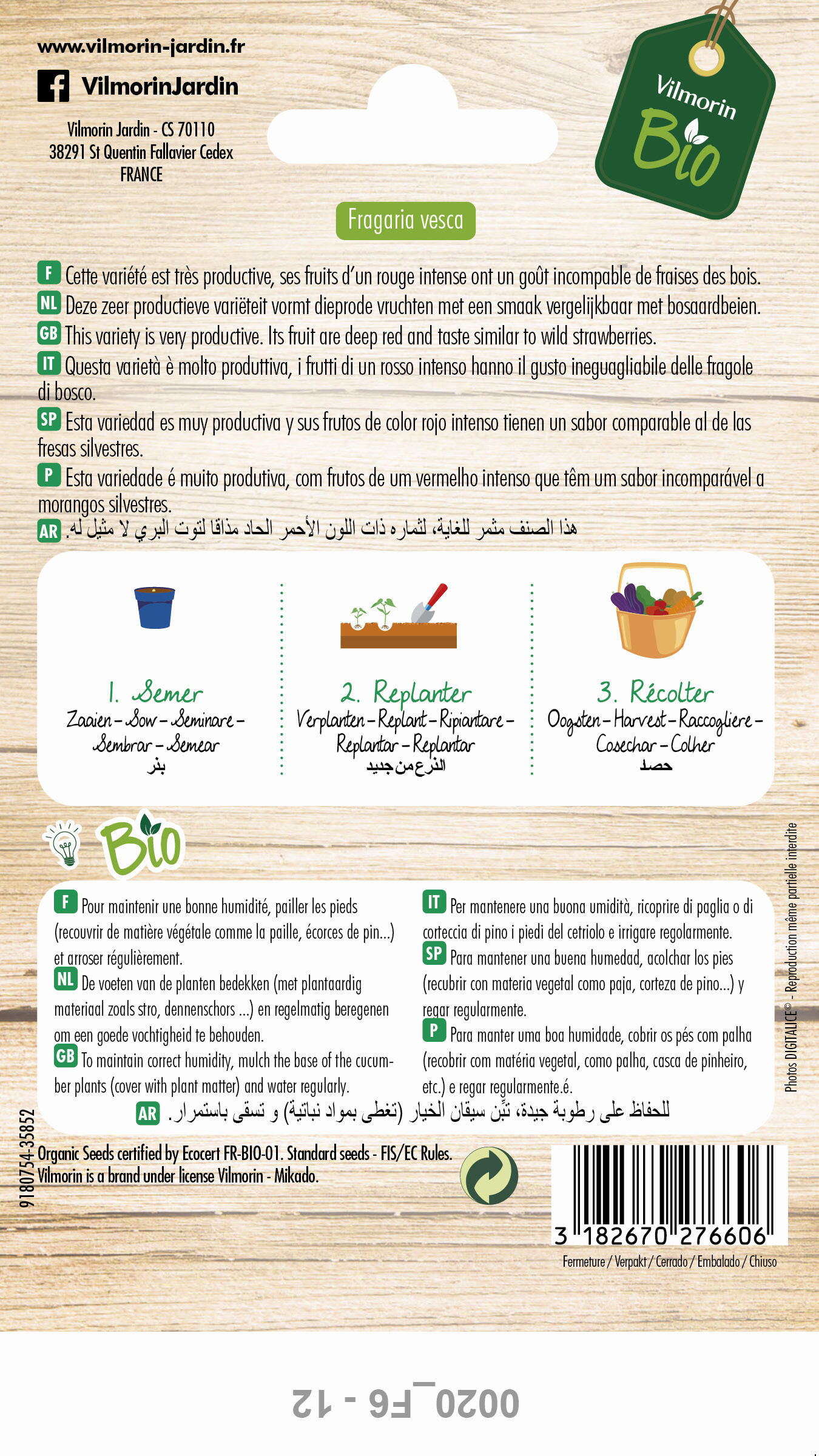 Semillas de Fresa Vilmorin Bio - 2
