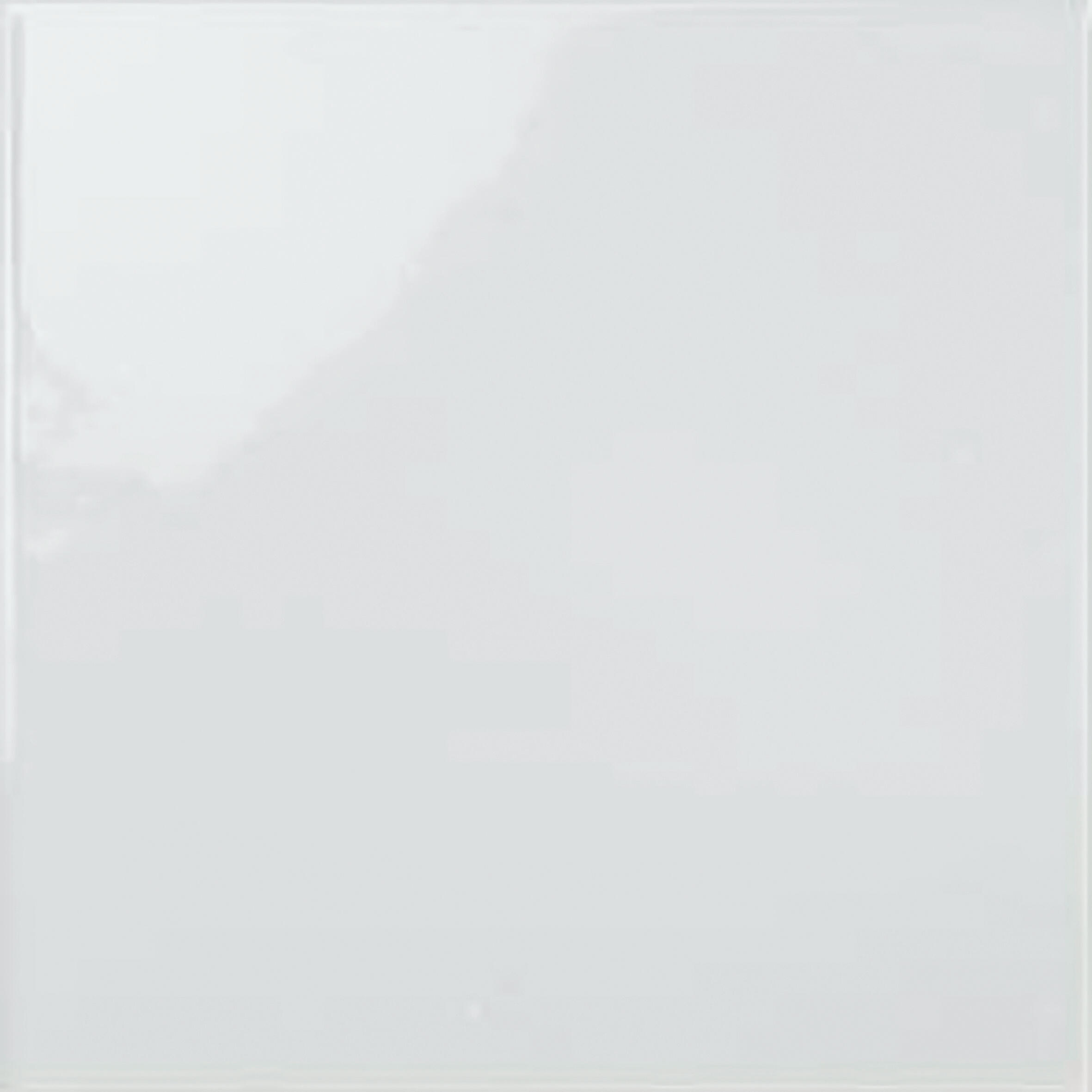 Piastrella da rivestimento interno in gres naturale HERBERIA 20 x 20 cm non rettificato bianco lucido Bpr Sp. 6 mm 1.6 mq - 4