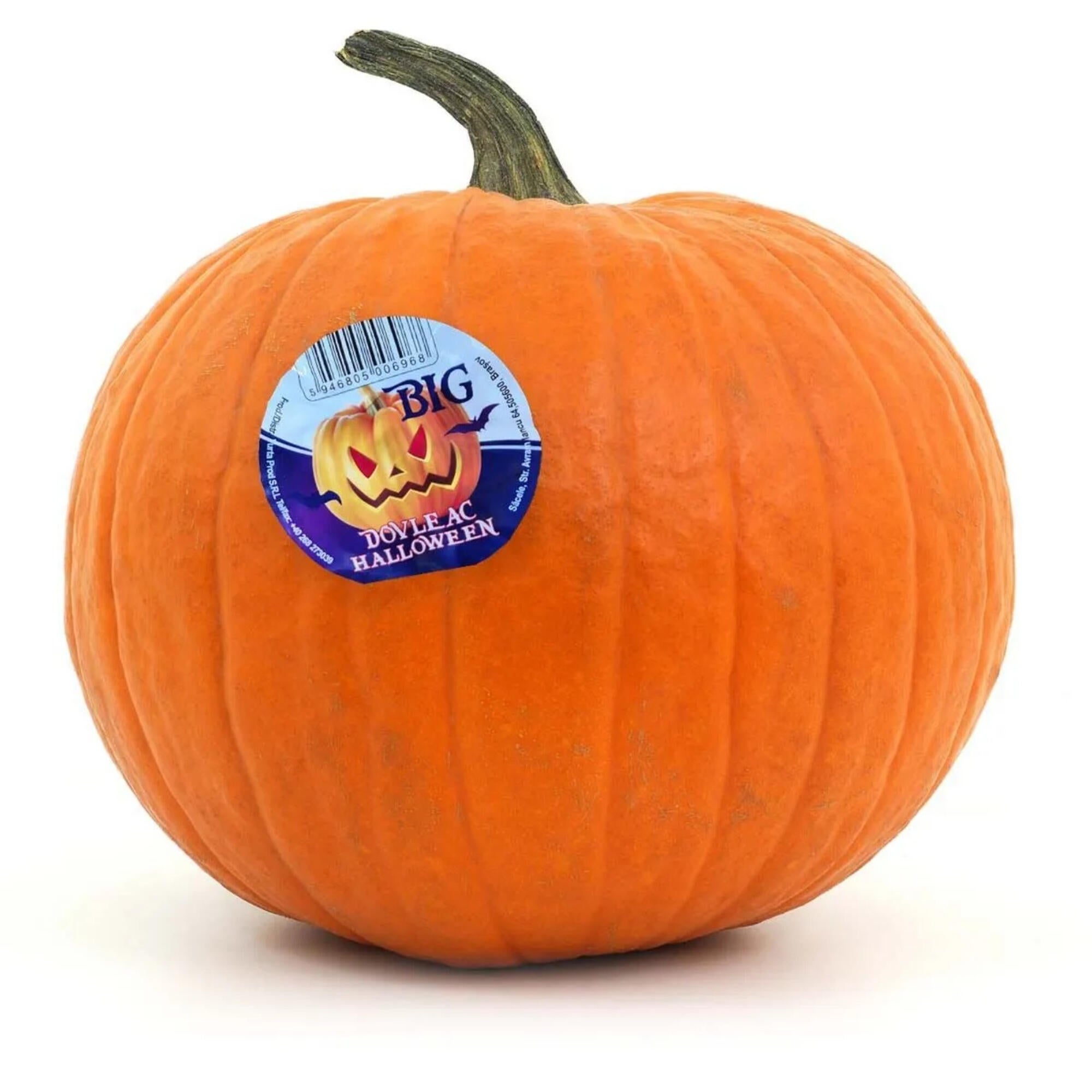Dovleac Halloween, pentru sculptat, dimensiune mare, Ø 32 cm