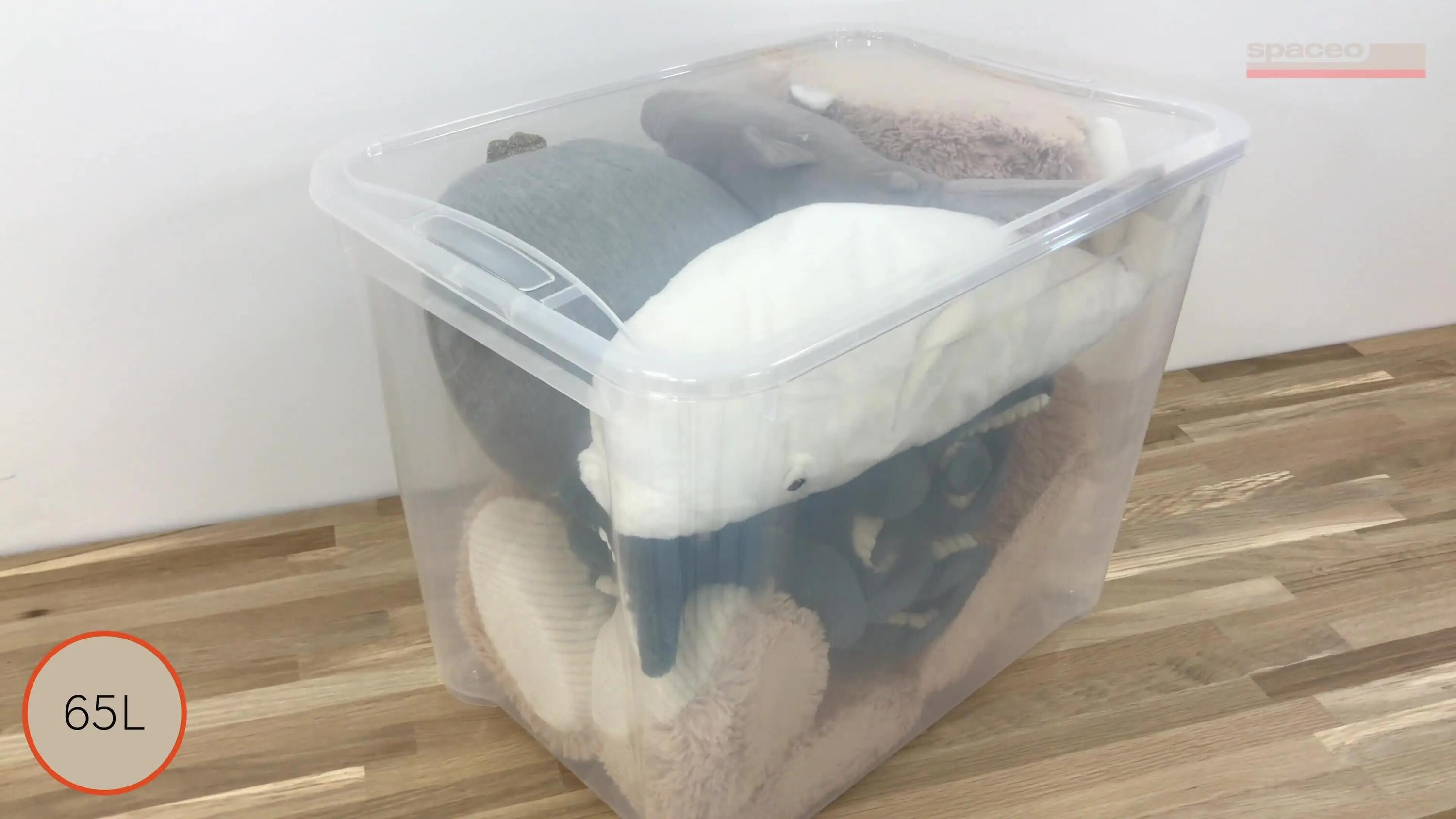 Caja con tapa transparente capacidad de 65 L medidas 55.5x42.5x39 cm - 8