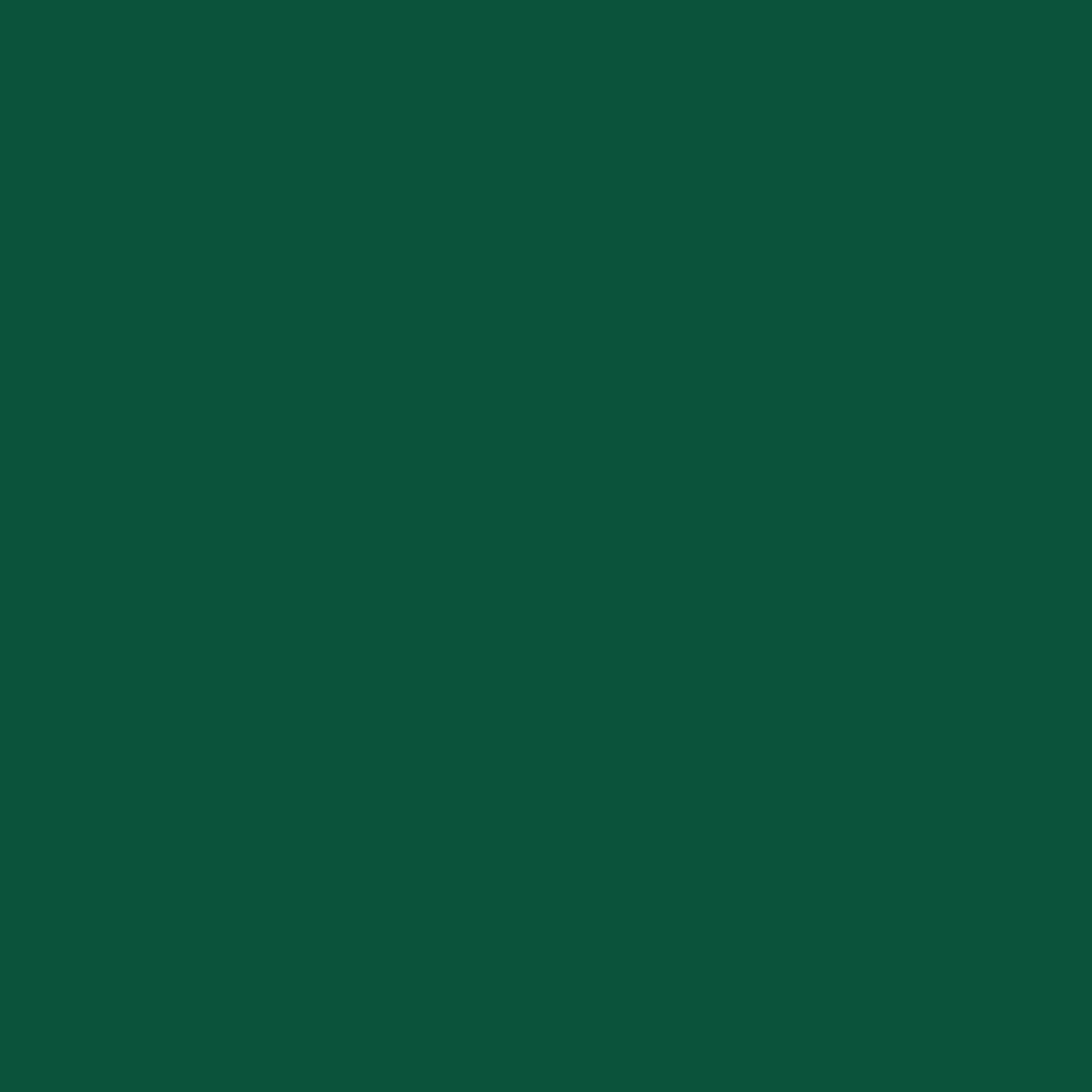 Vernice da esterno antiruggine per ferro SARATOGA Fernovus verde prato lucido, 2.5 l - 3
