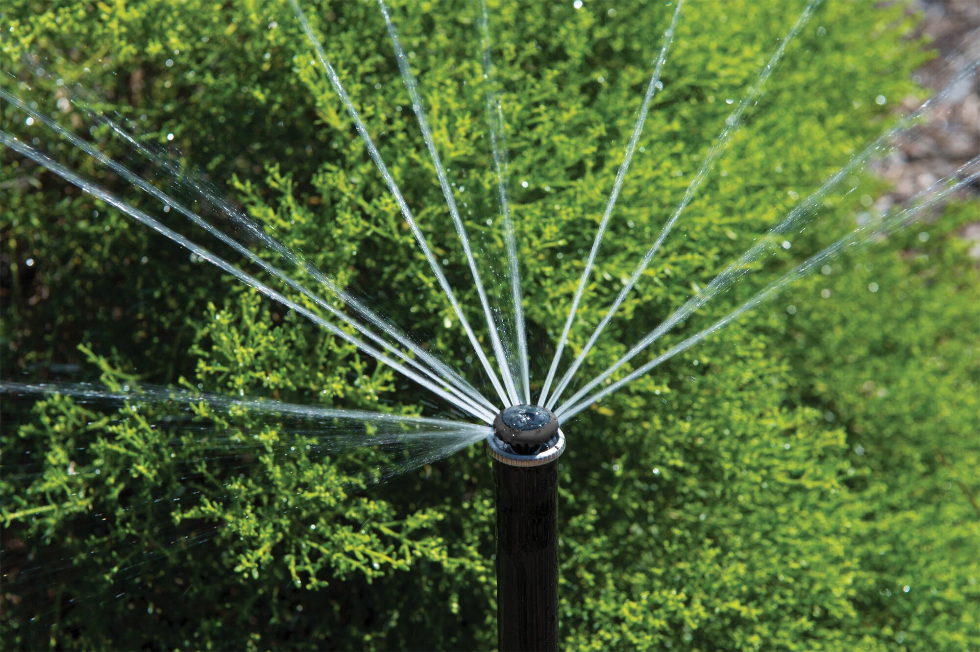 Diffuseur d'eau par aspersion HUNTER 6760156A - 3