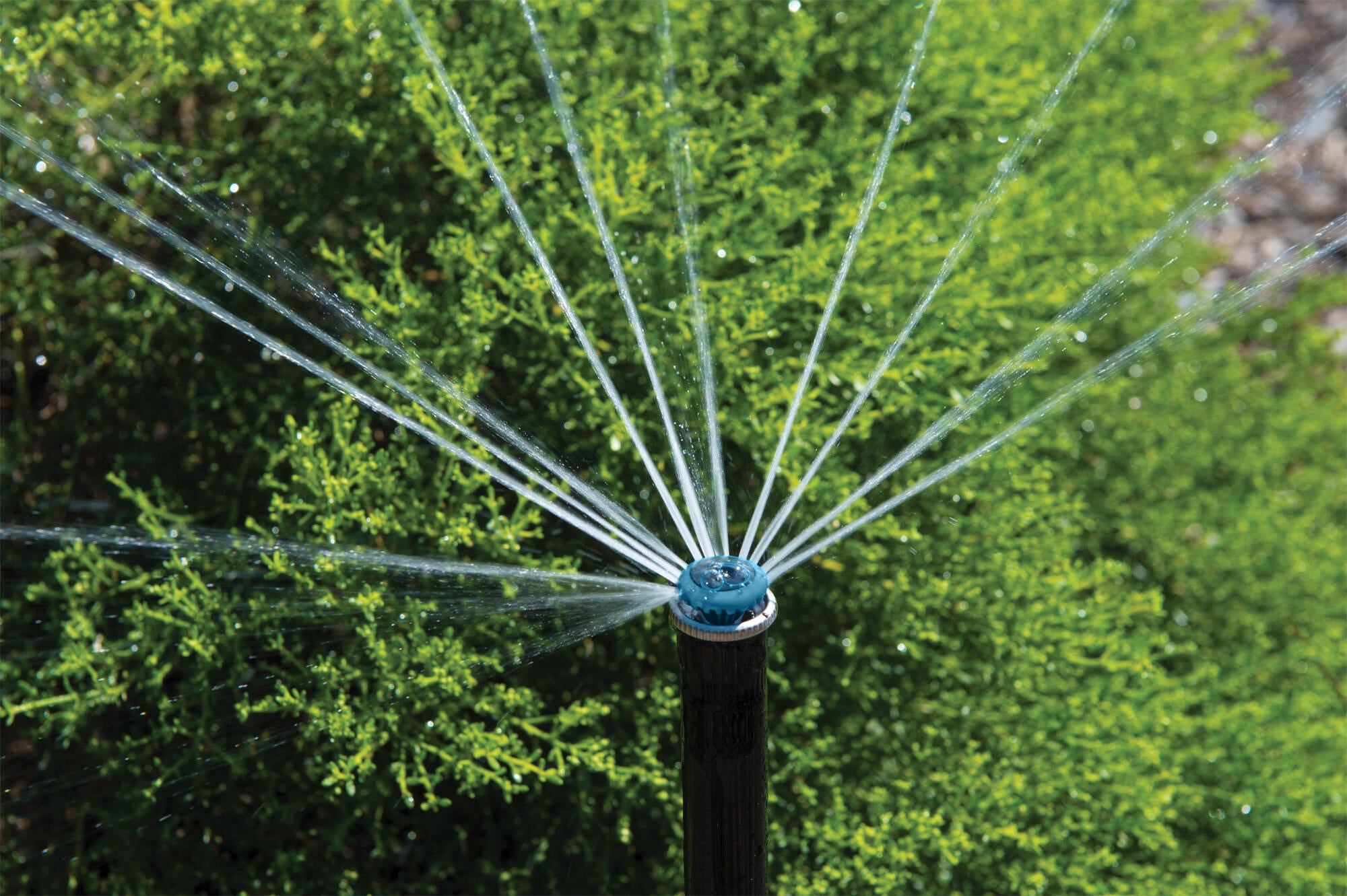 Diffuseur d'eau par aspersion HUNTER 6760159Y - 3