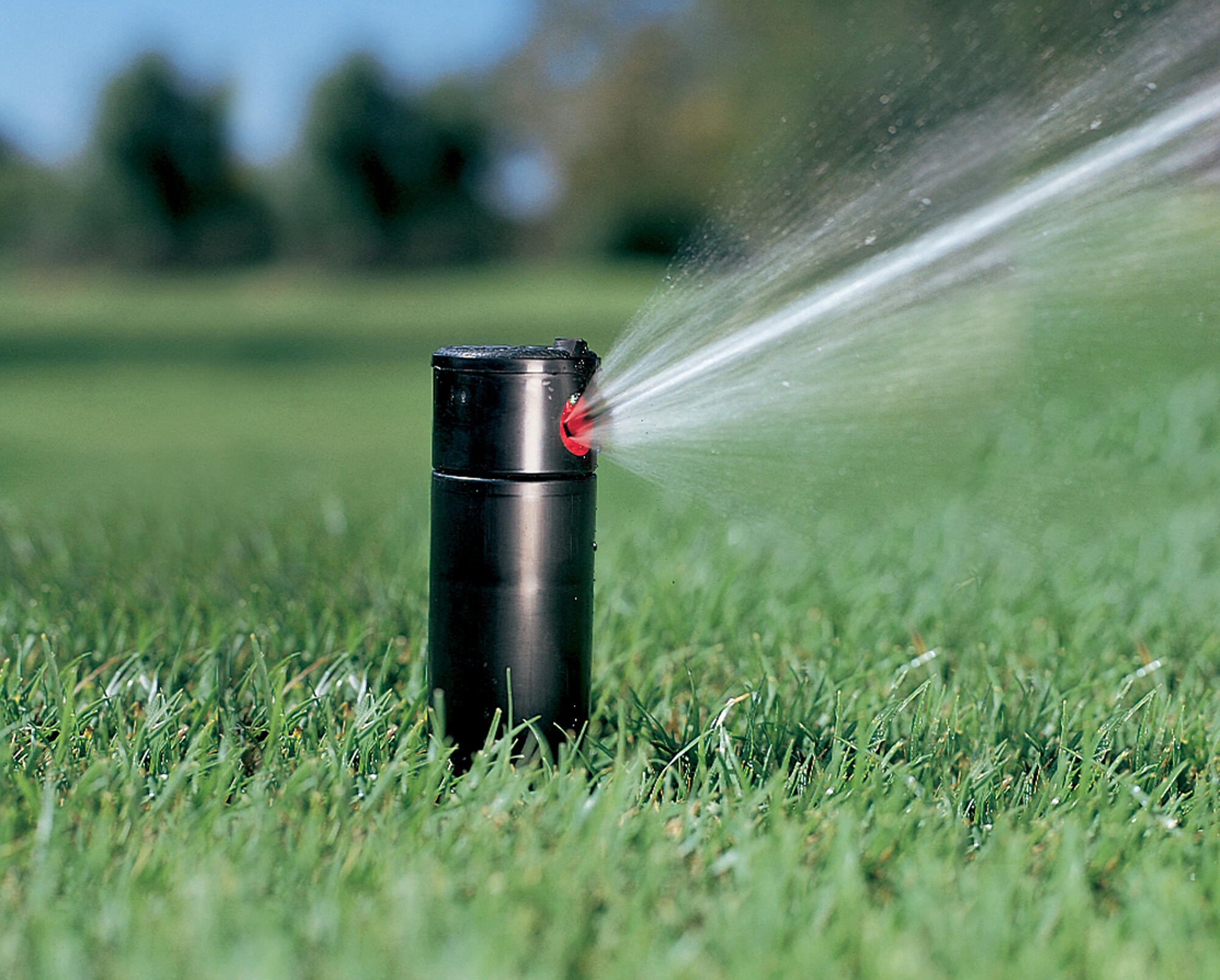 Diffuseur d'eau rotatif HUNTER Pgp - 2