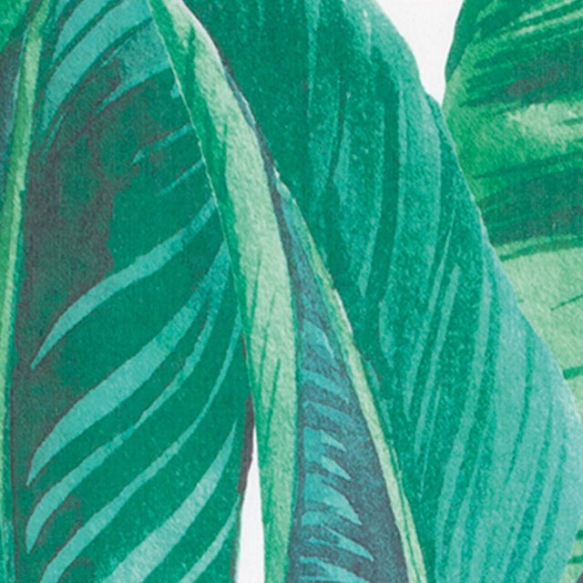Pannello giapponese INSPIRE SANSEVERIA verde 60x300 cm