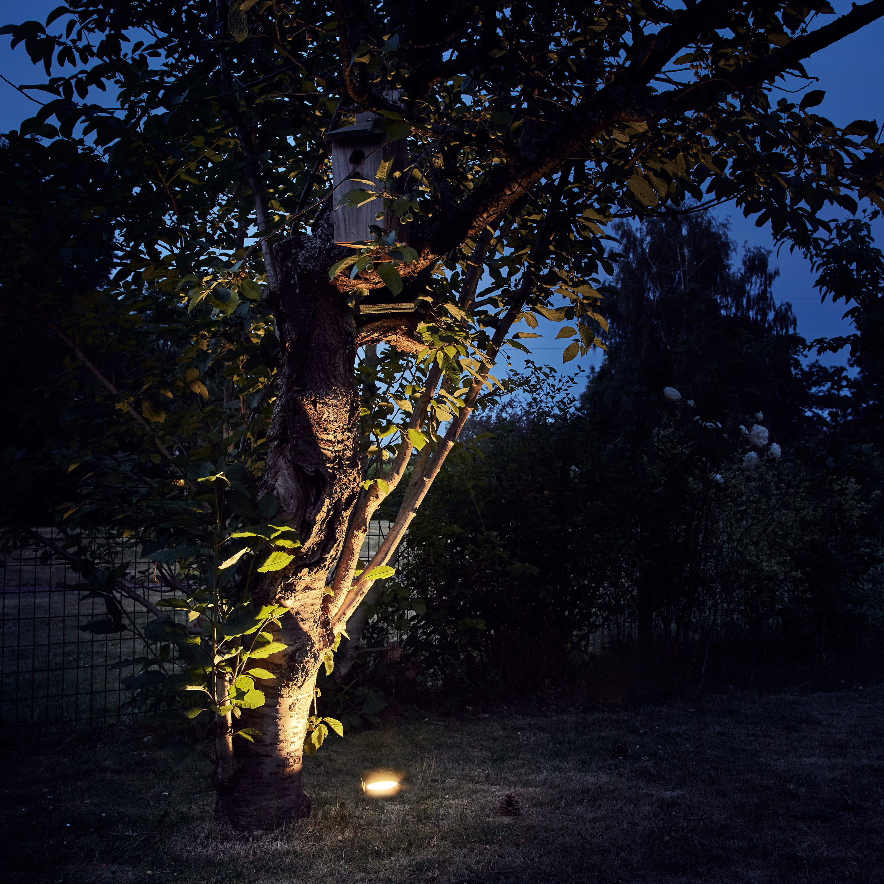 Spot à enterrer LED, 3200 lumens blanc neutre, inox, Ohio INSPIRE rond - 5