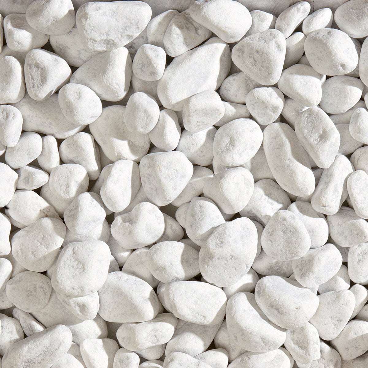 MORINA Pietre Bianche D. 15/25 MM. Sassi CIOTTOLI Bianco Carrara In