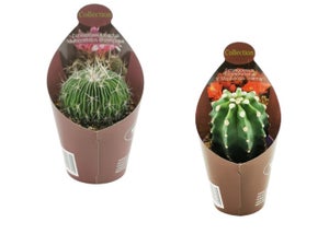 Vaso per Piante Fiori Rotondo Giardino Bianco 30 cm Ciotola Elba Idel