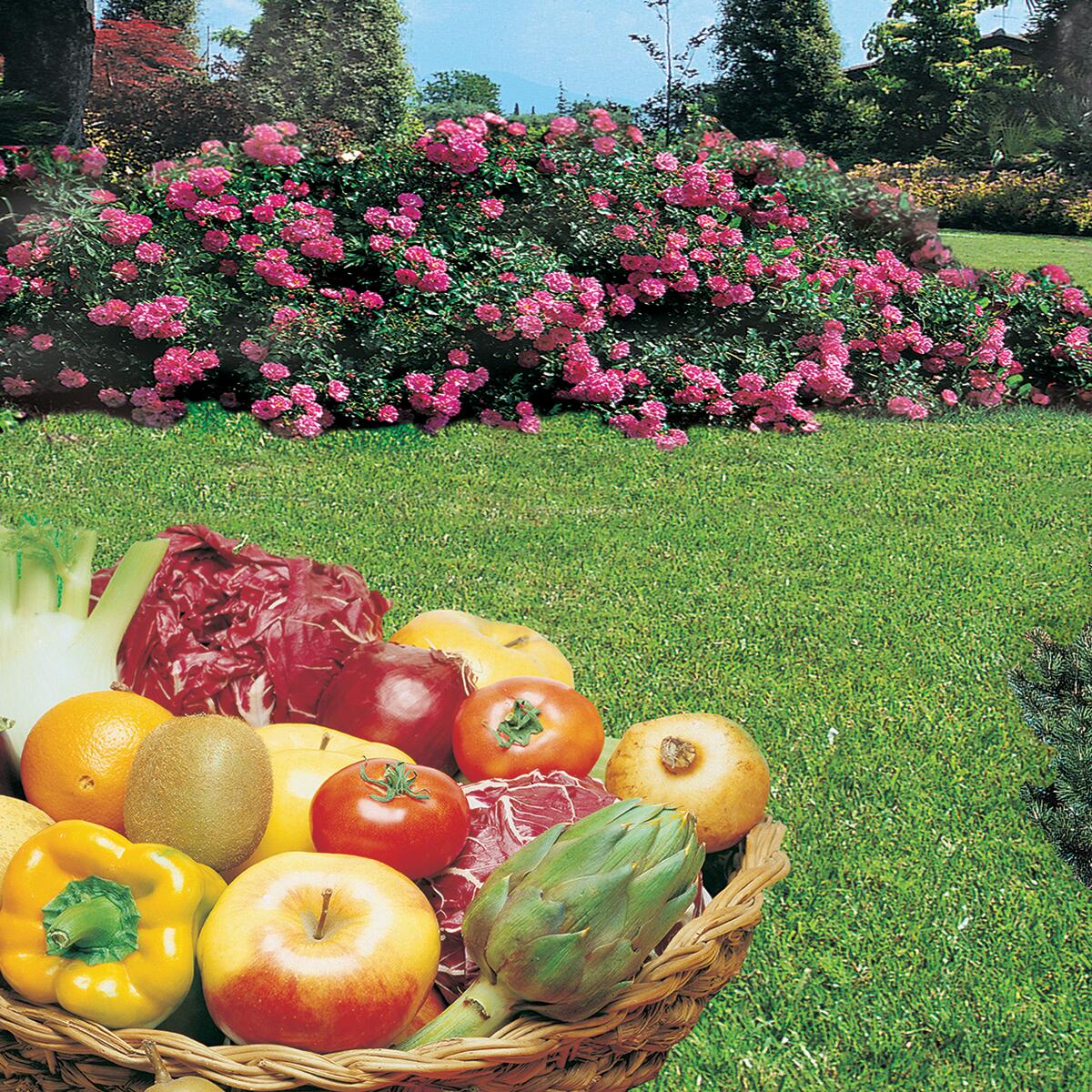 Concimi Idrosolubili Per Acidofile, Agrumi, Bonsai, Ciclamini, Petunie, Gerani - I MAGNIFICI BLU - Foto 6