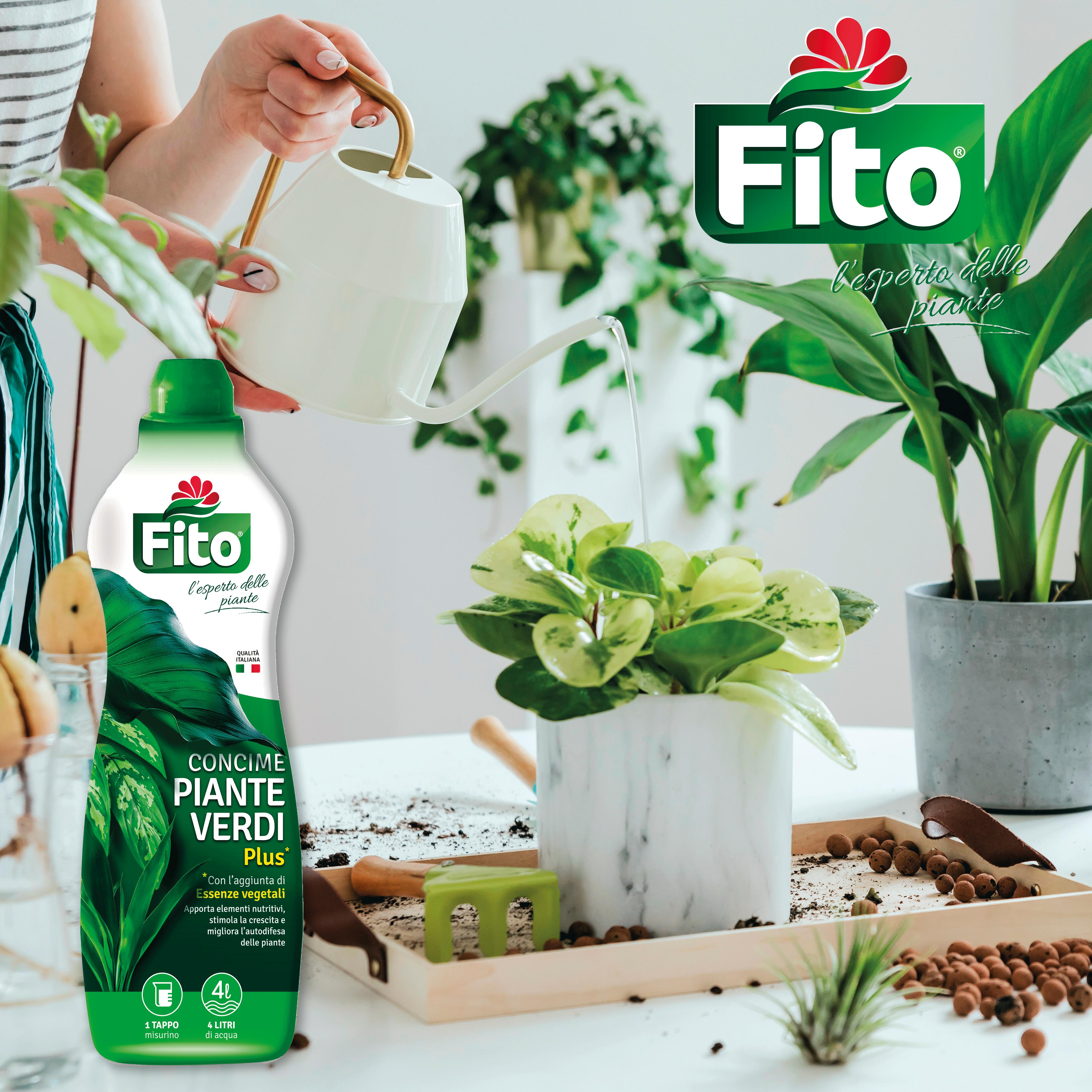Concime liquido FITO per piante verdi Plus 1 L - 2