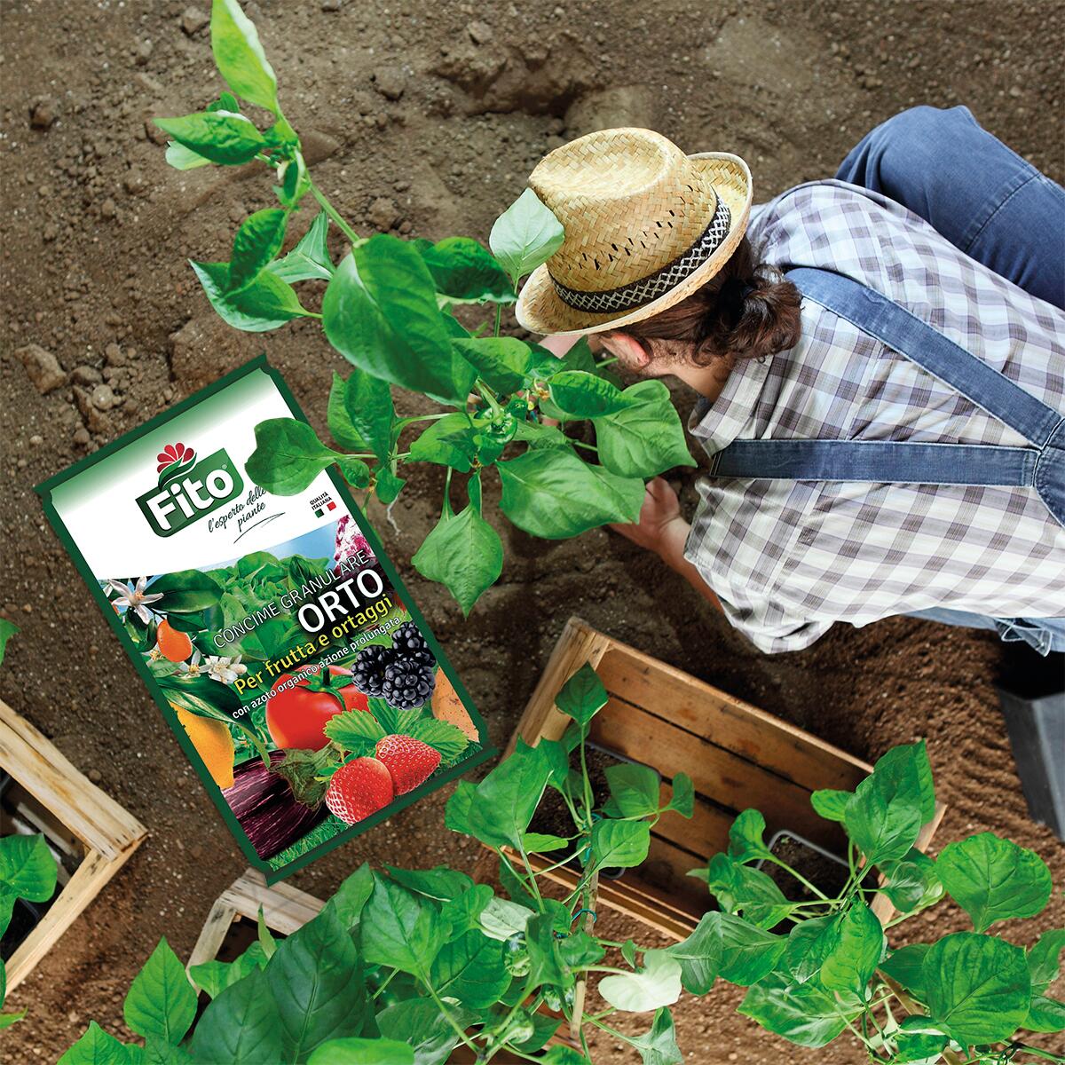 Concime granulato FITO per kiwi, fragole, agrumi, orto 5 kg - 2