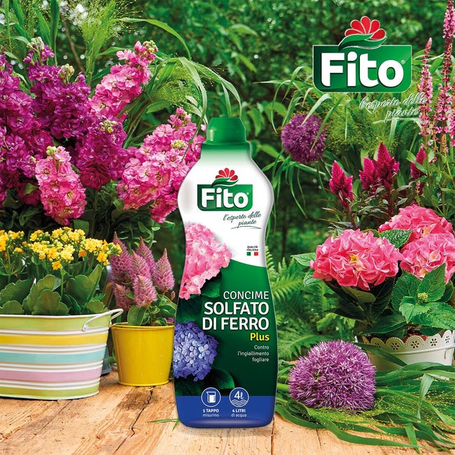 Solfato Di Ferro Plus - Concime Rinverdente Per Piante, Previene La Clorosi E Favorisce Le Ortensie - Foto 6