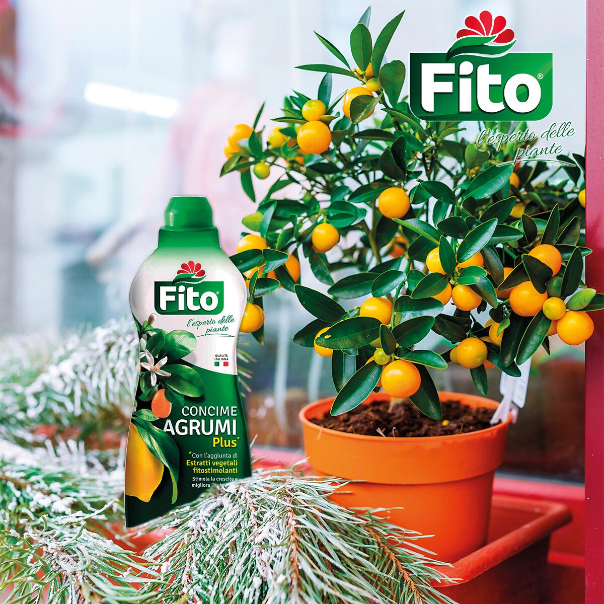 Concime liquido FITO per agrumi Plus 1 L - 2