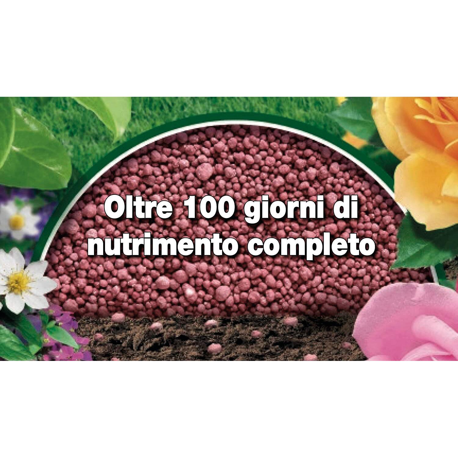 Concime granulato COMPO per roseti, conifere e arbusti ornamentali a lenta cessione 4 kg - 4
