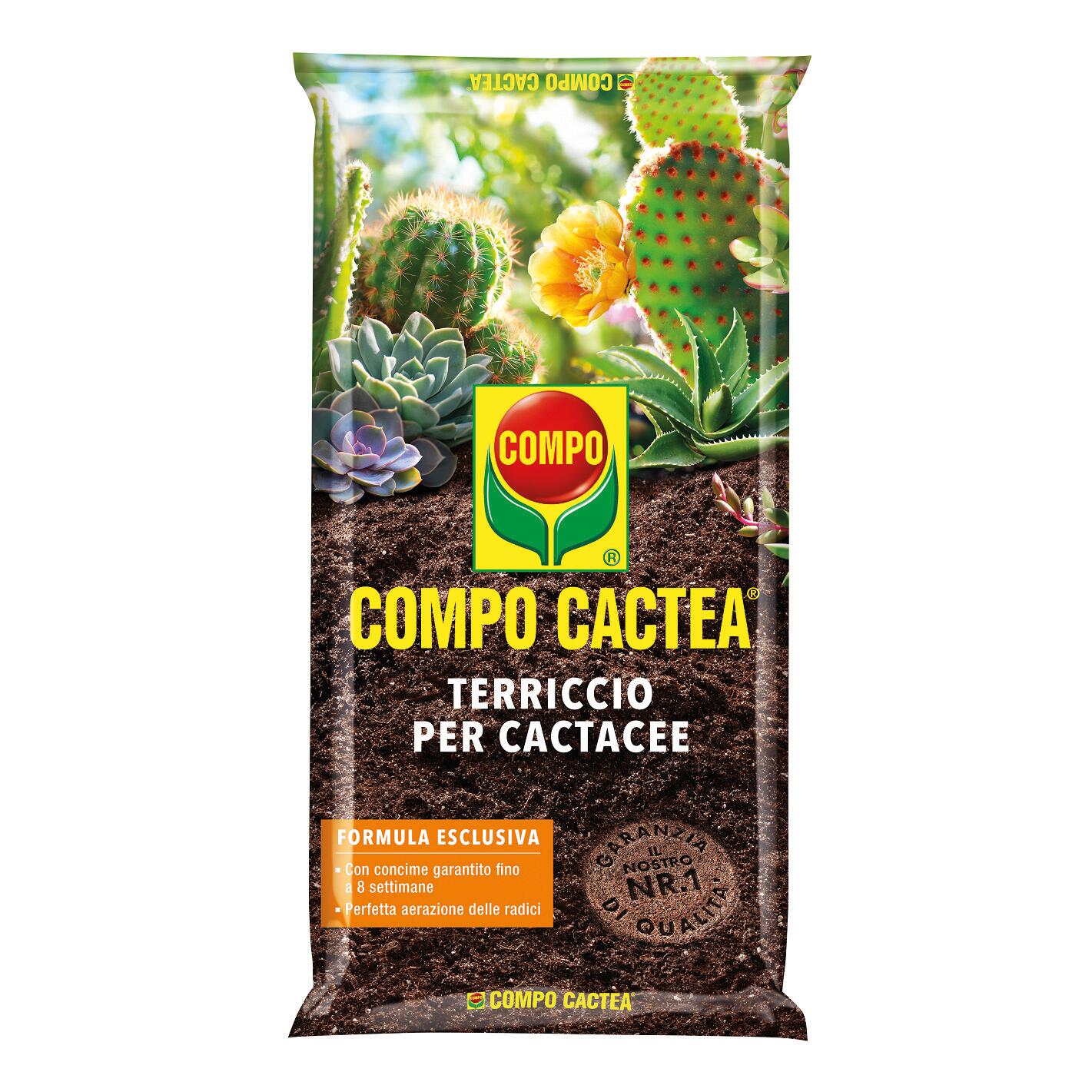 Terriccio COMPO pianta grassa 5L - 2