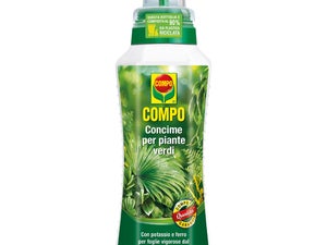 Concime Liquido Per Piante Acidofile CIFO - 1 Litro, Per Azalee, Rododendri, Camelie E Gardenie - Foto 9