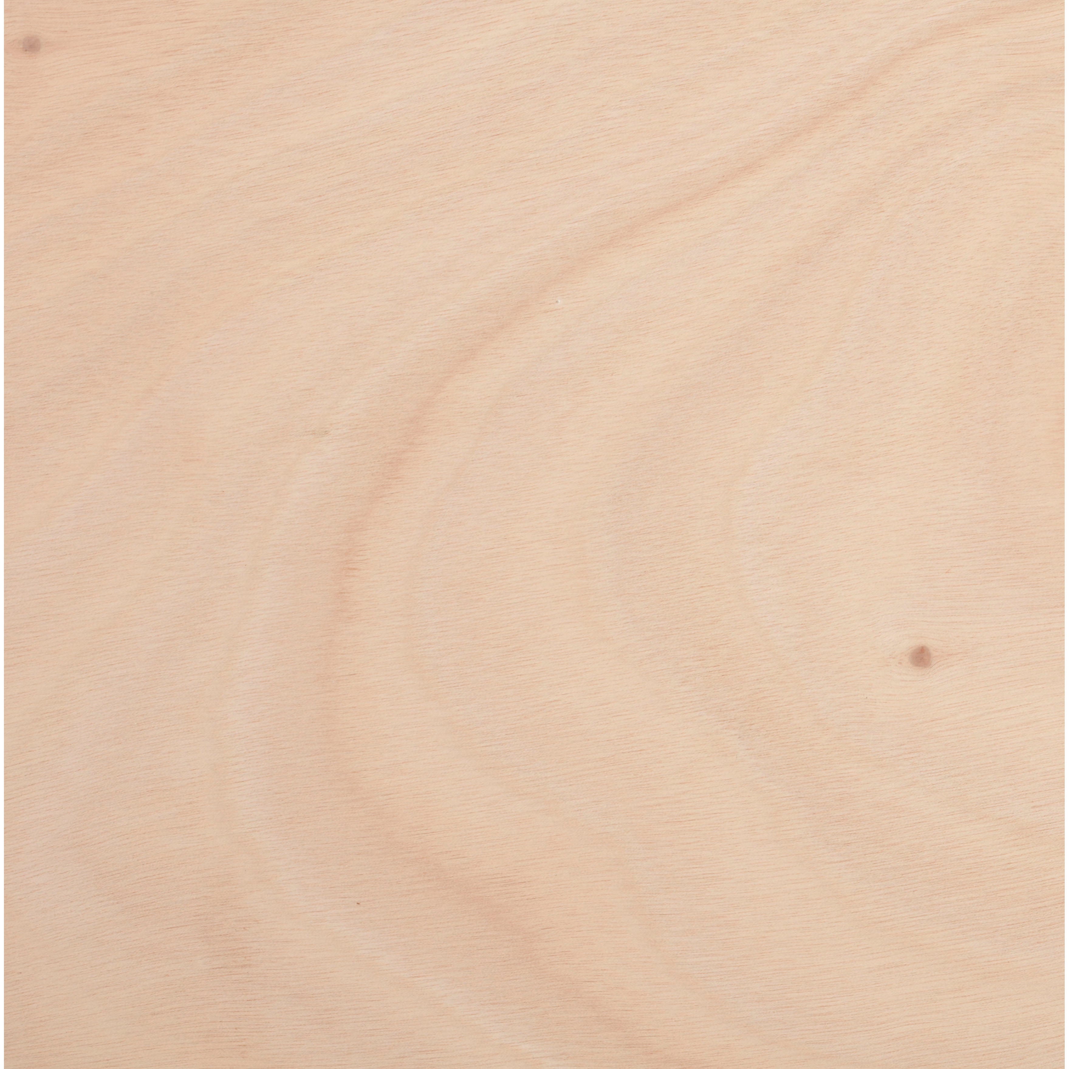 Panneau contreplaqué ignifugé, Ep.15 mm x L.250 x l.122 cm - 2