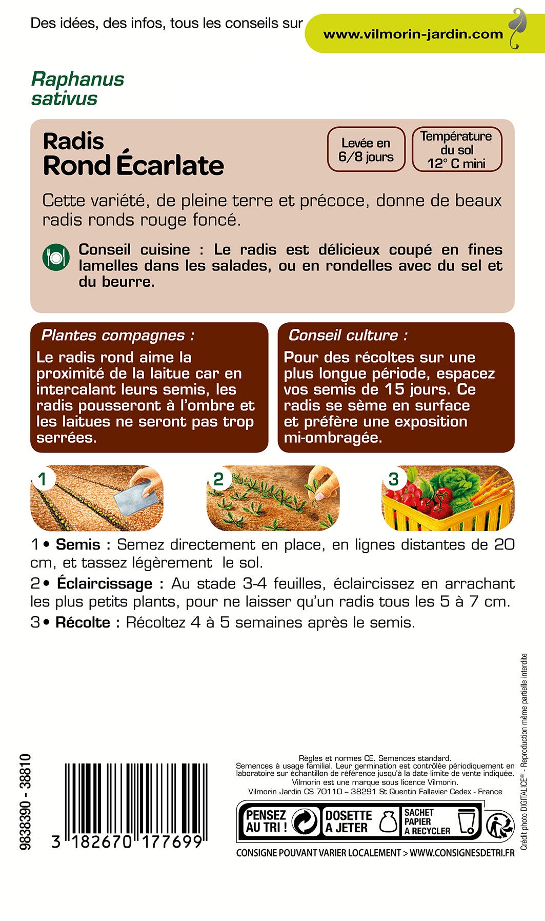 Graines de radis VILMORIN 10 g - 2