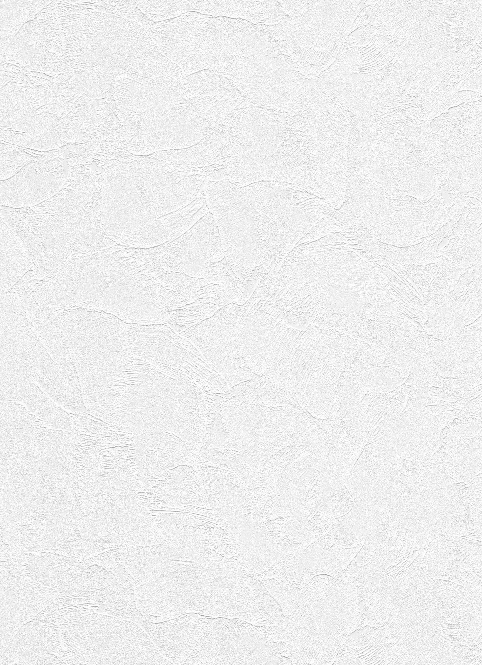 Papier peint à peindre 170 g/m² Taloche, l.0.53 x L.10.05 m - 2