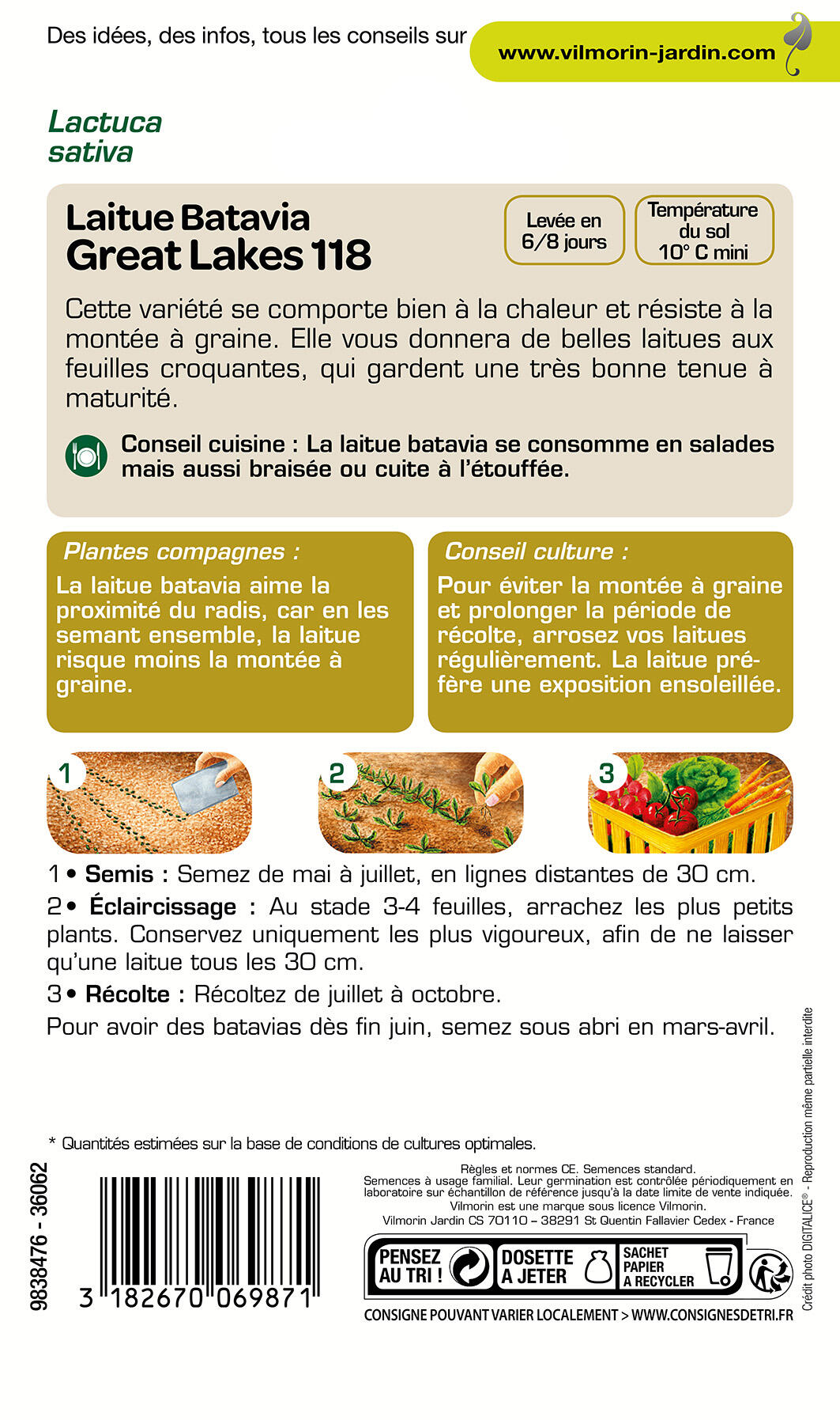 Graines de laitue VILMORIN 4 g - 2