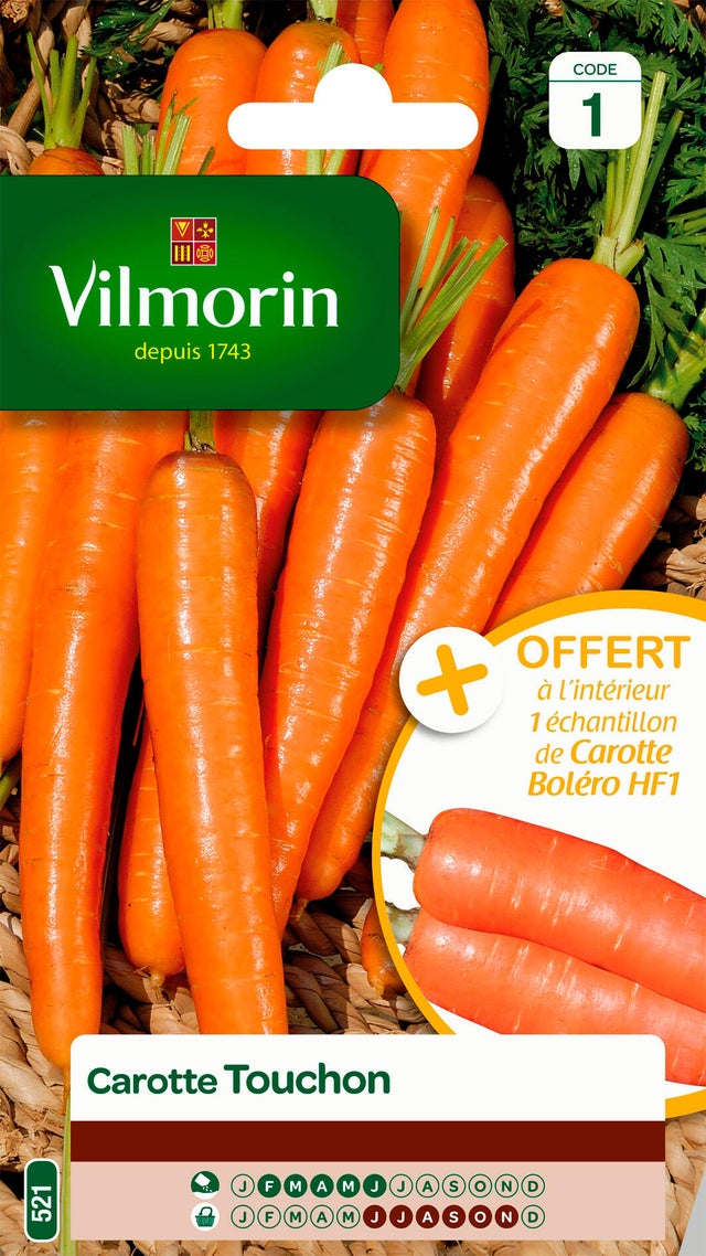 Graines de carotte VILMORIN 4 g