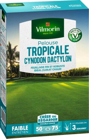 Pelouse tropicale cynodon dactylon VILMORIN, 500 g, 50 m²