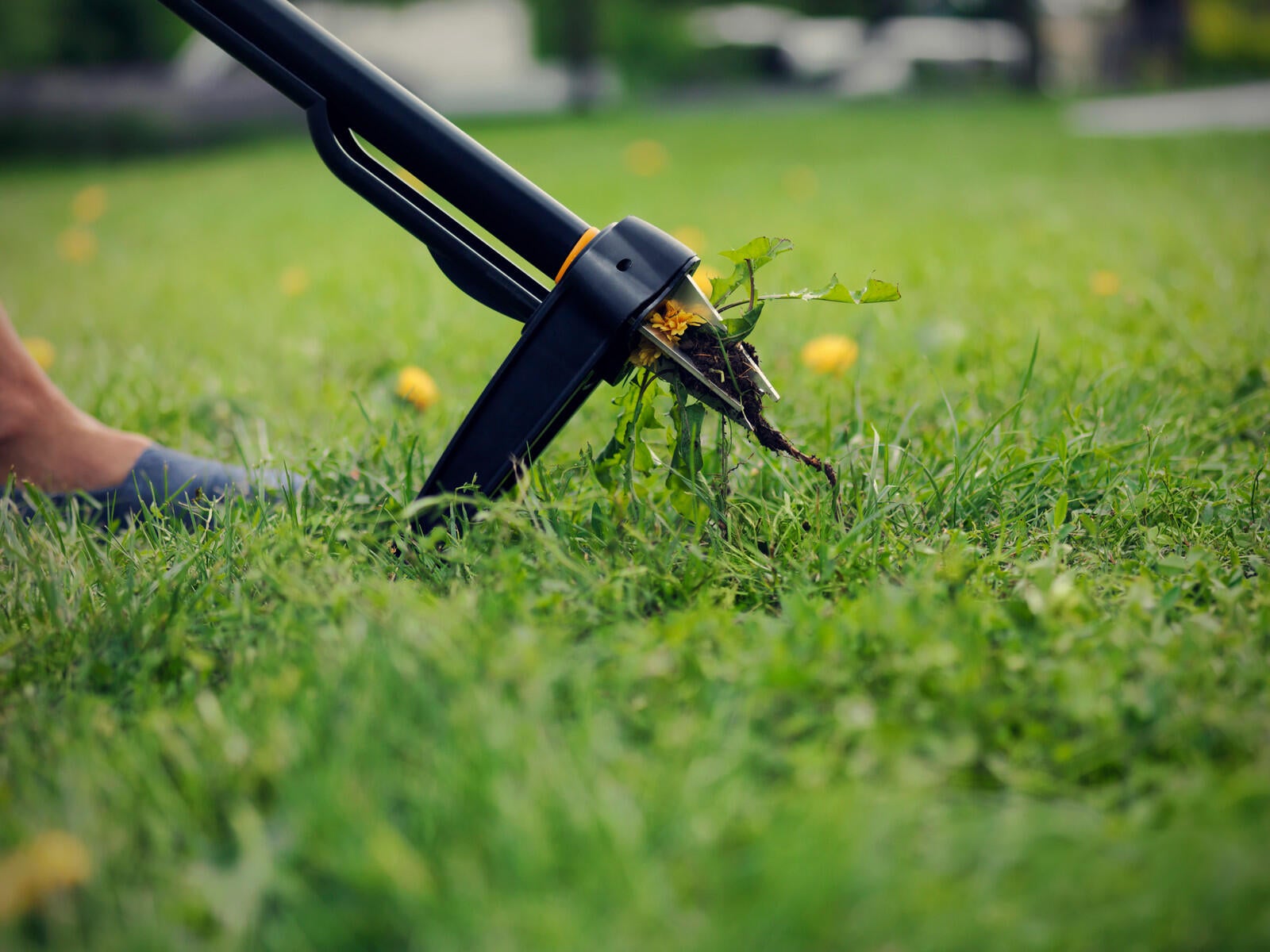 Estirpatore FISKARS manico in alluminio L 1 m - 15