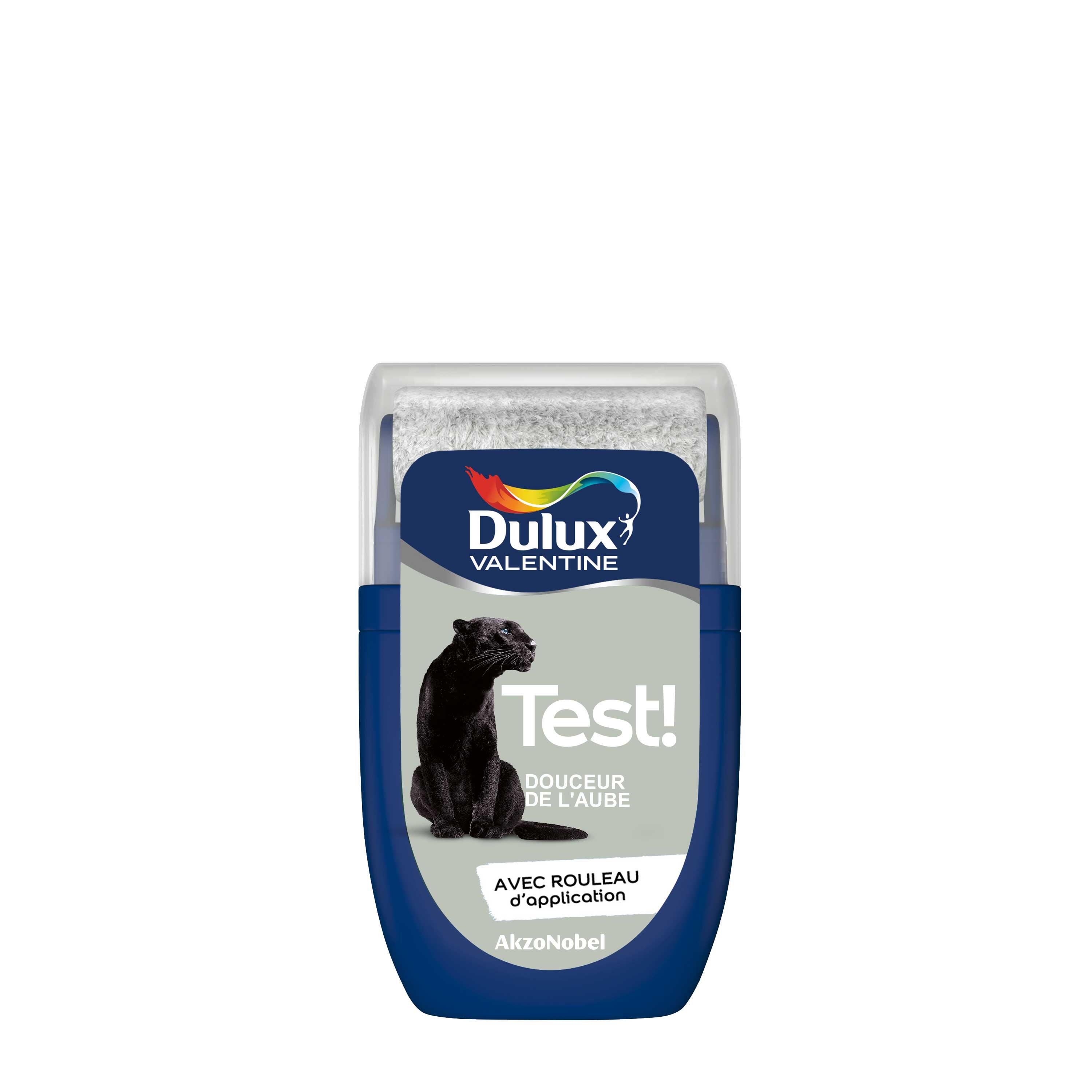 Peinture mur douceur de l'aube satin DULUX VALENTINE Crème de couleur 0.03l - 7