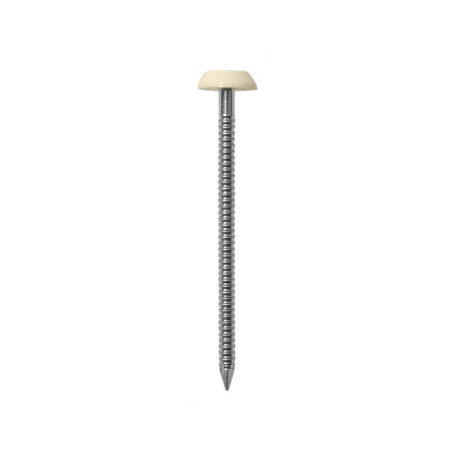 Lot de 50 pointes annelées Acier inox, BOL-FIXATIONS tête ronde sable, 2,5x50 mm