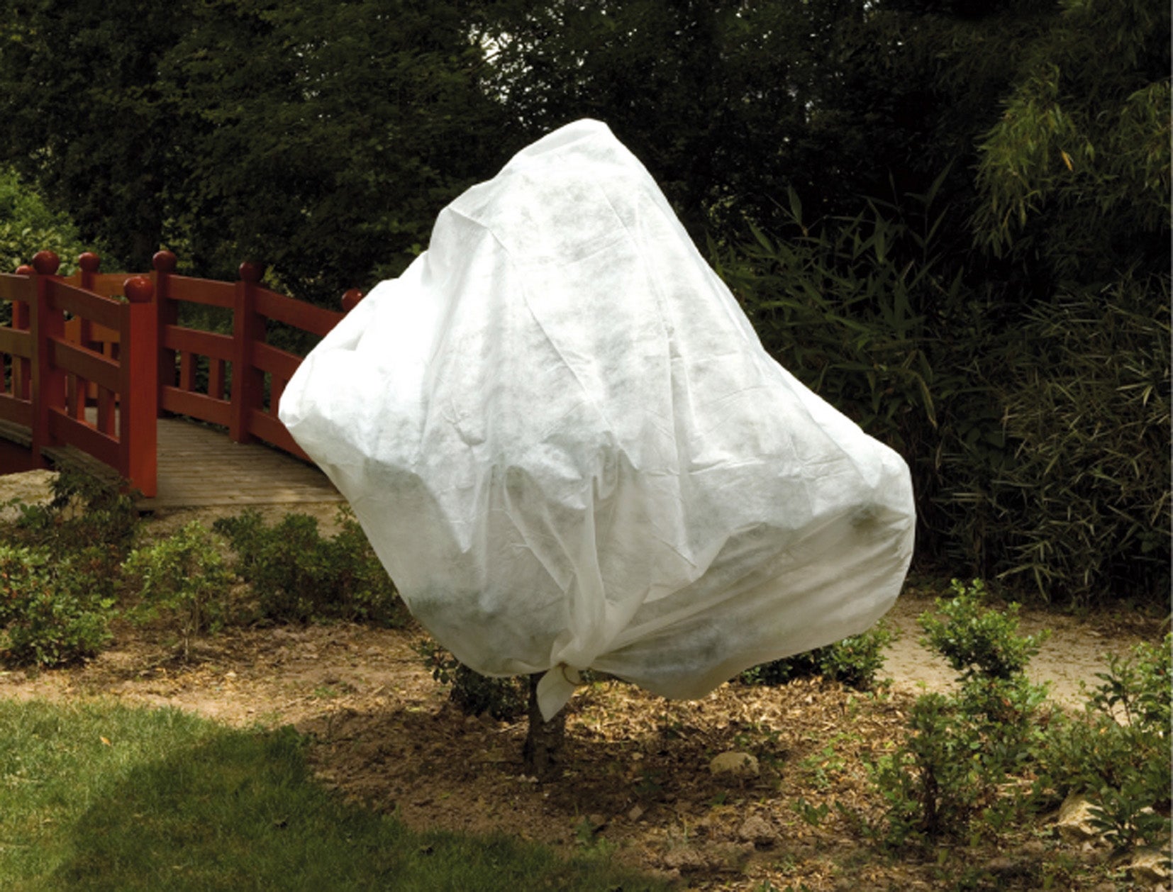 Voile d'hivernage blanc 2x10m 30g/m² VILMORIN - 2