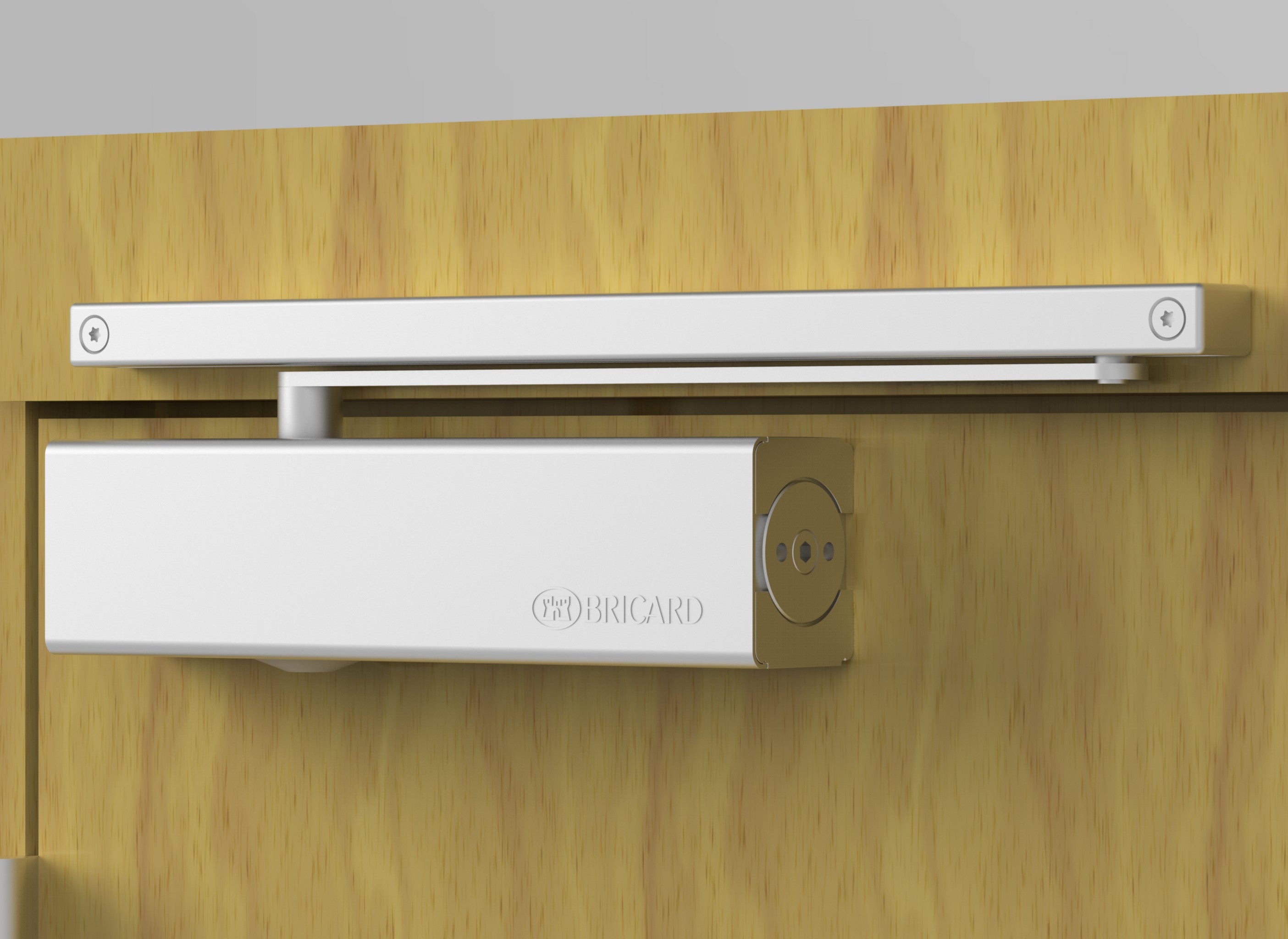 Ferme-porte à coulisses BRICARD 2075_a, acier - 6