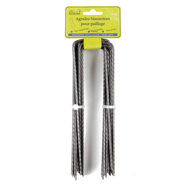 Lot de 12 agrafes acier brut Tradex Diffusion 20 mm