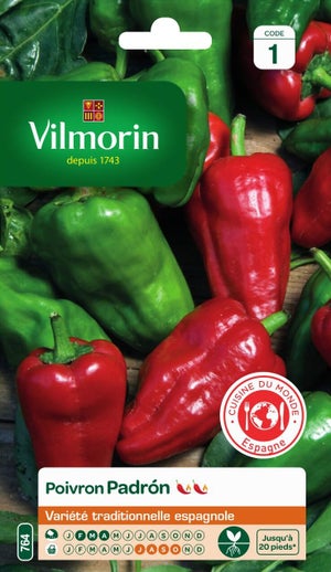 Graines Piment Jalapeño Vilmorin - Force 5/10 Scoville - Fruits 7cm - Idéal Salsa & Barbecue