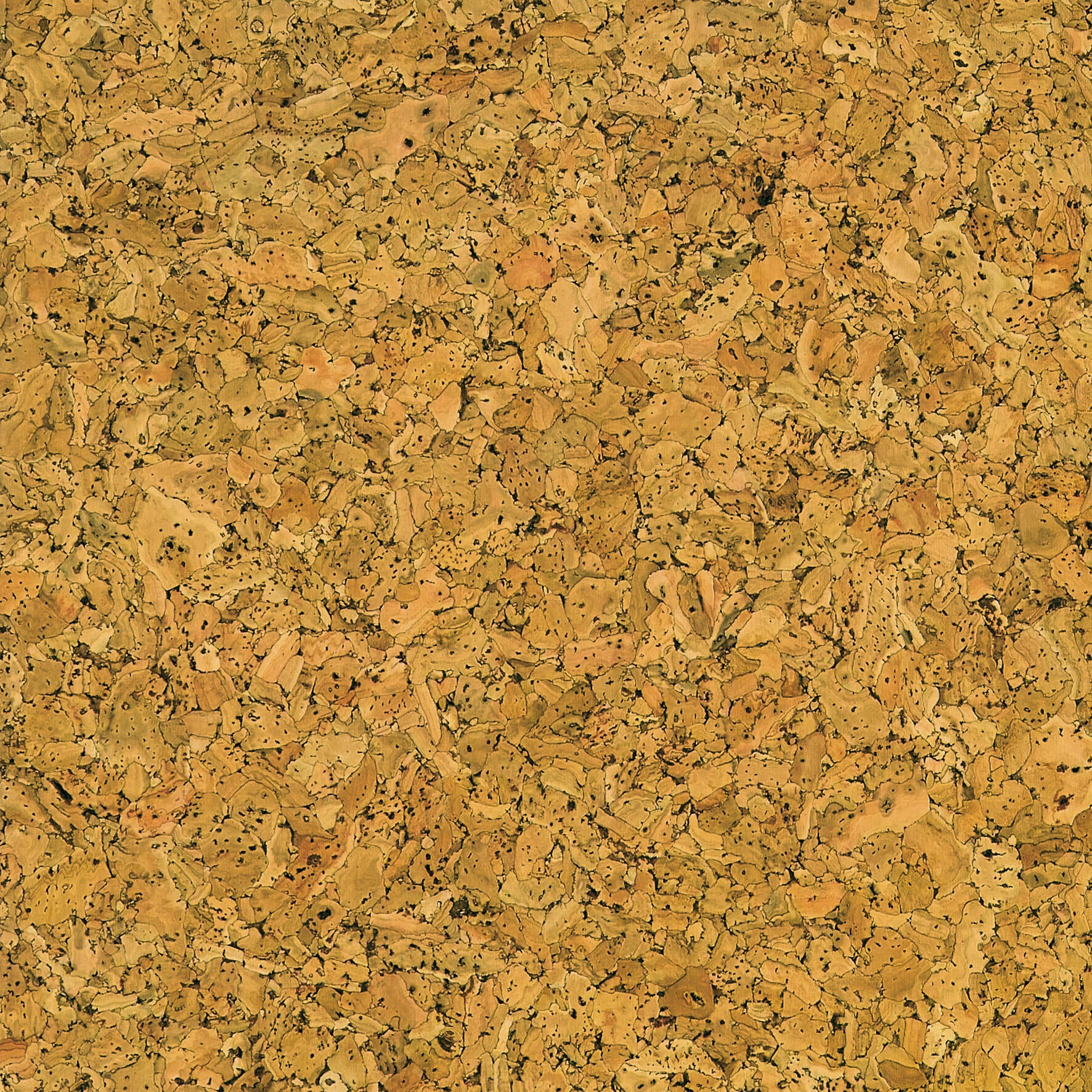 Lot de 5 dalles de liège murales, beige naturel, l.60 x L.30 cm - 4
