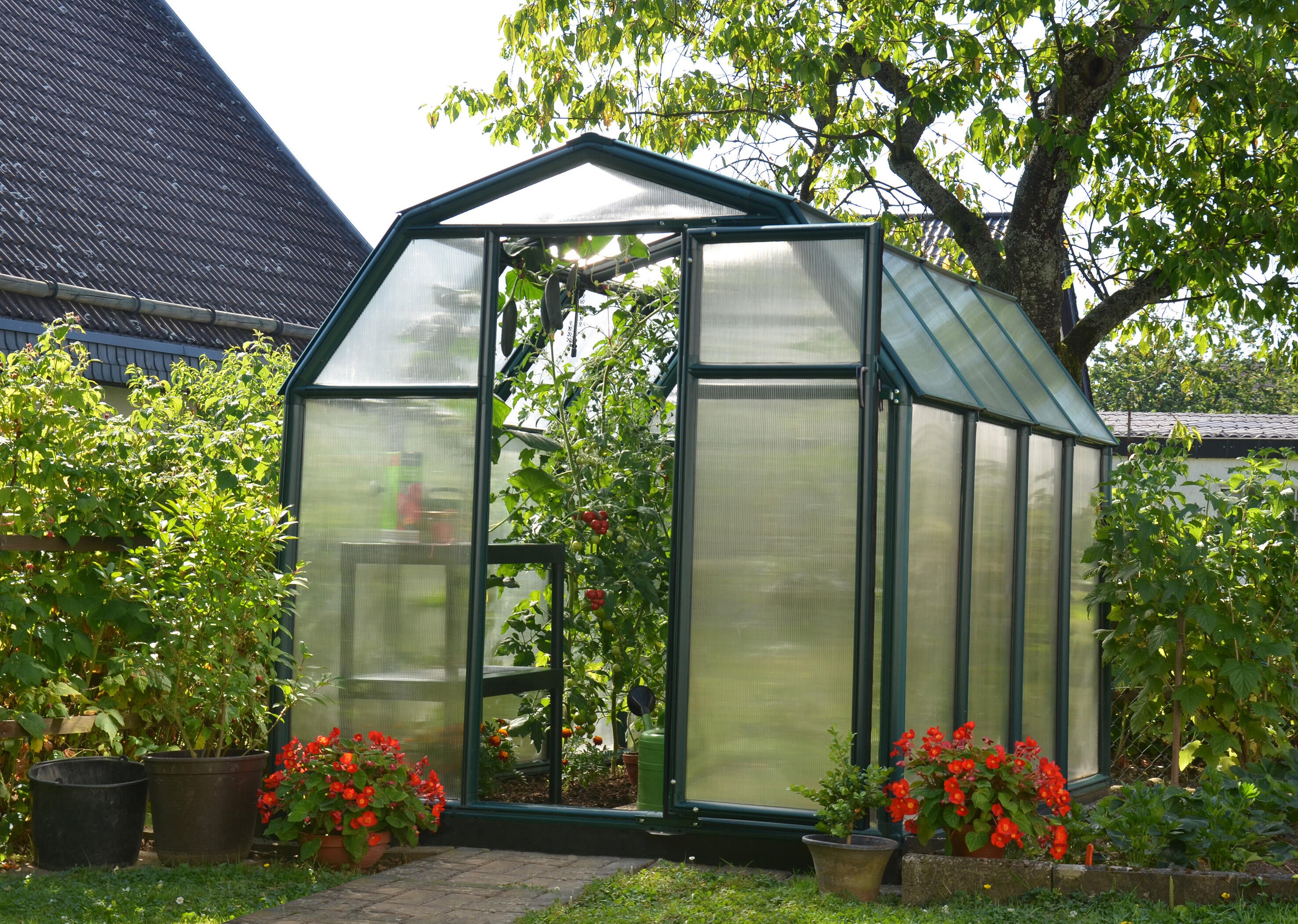 Serre fixe en polycarbonate double parois Ecogrow, 5.4 m² CANOPIA BY PALRAM - 3