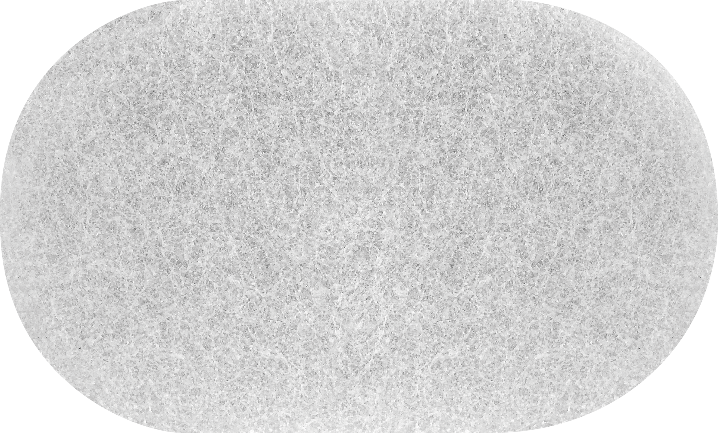 Éponge artificielle Xxl, SPONTEX EXPERT - 3