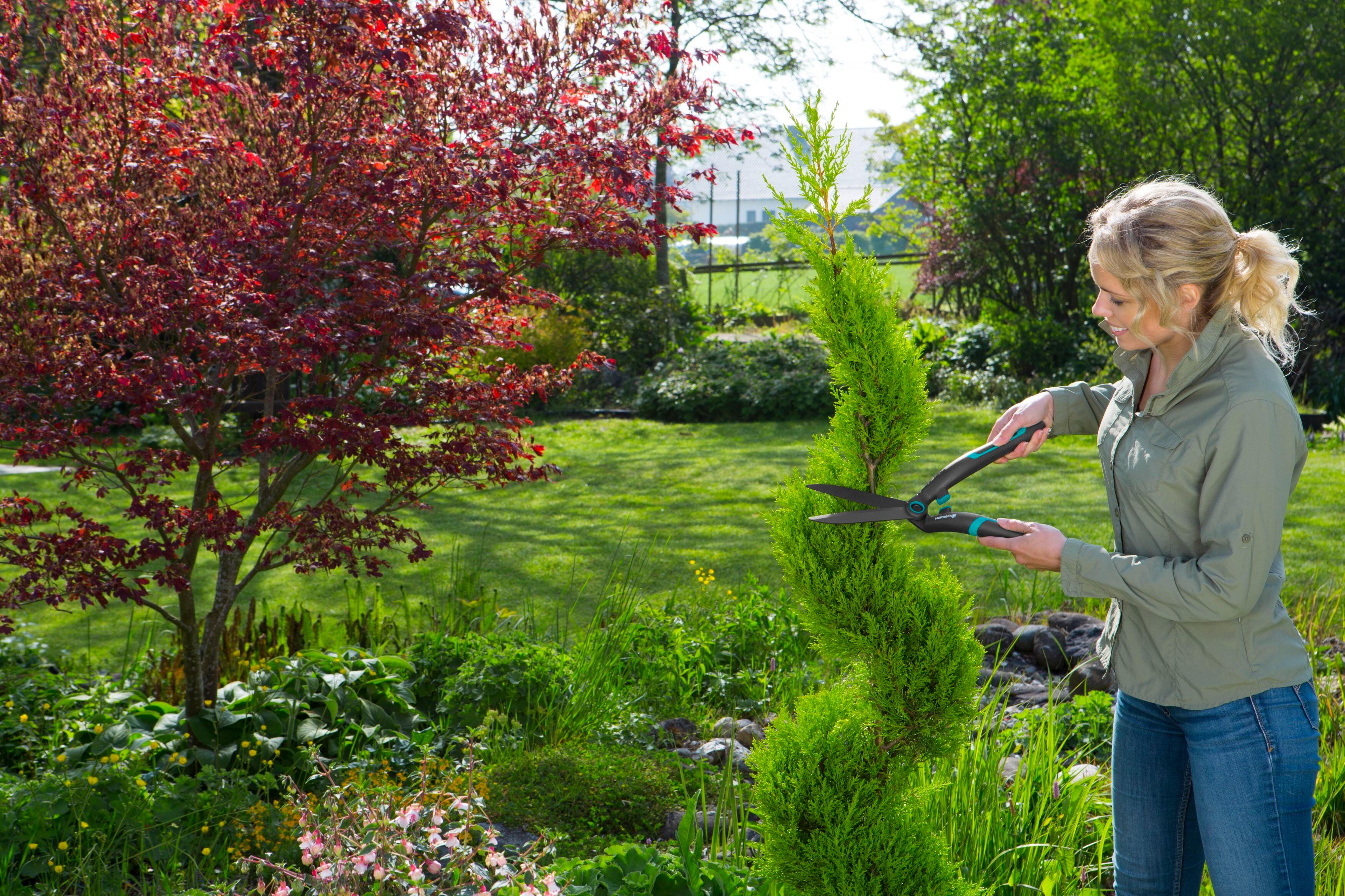 Cisaille à haie acier revêtu antiadhérent PrecisionCut 12302-20 GARDENA - 6
