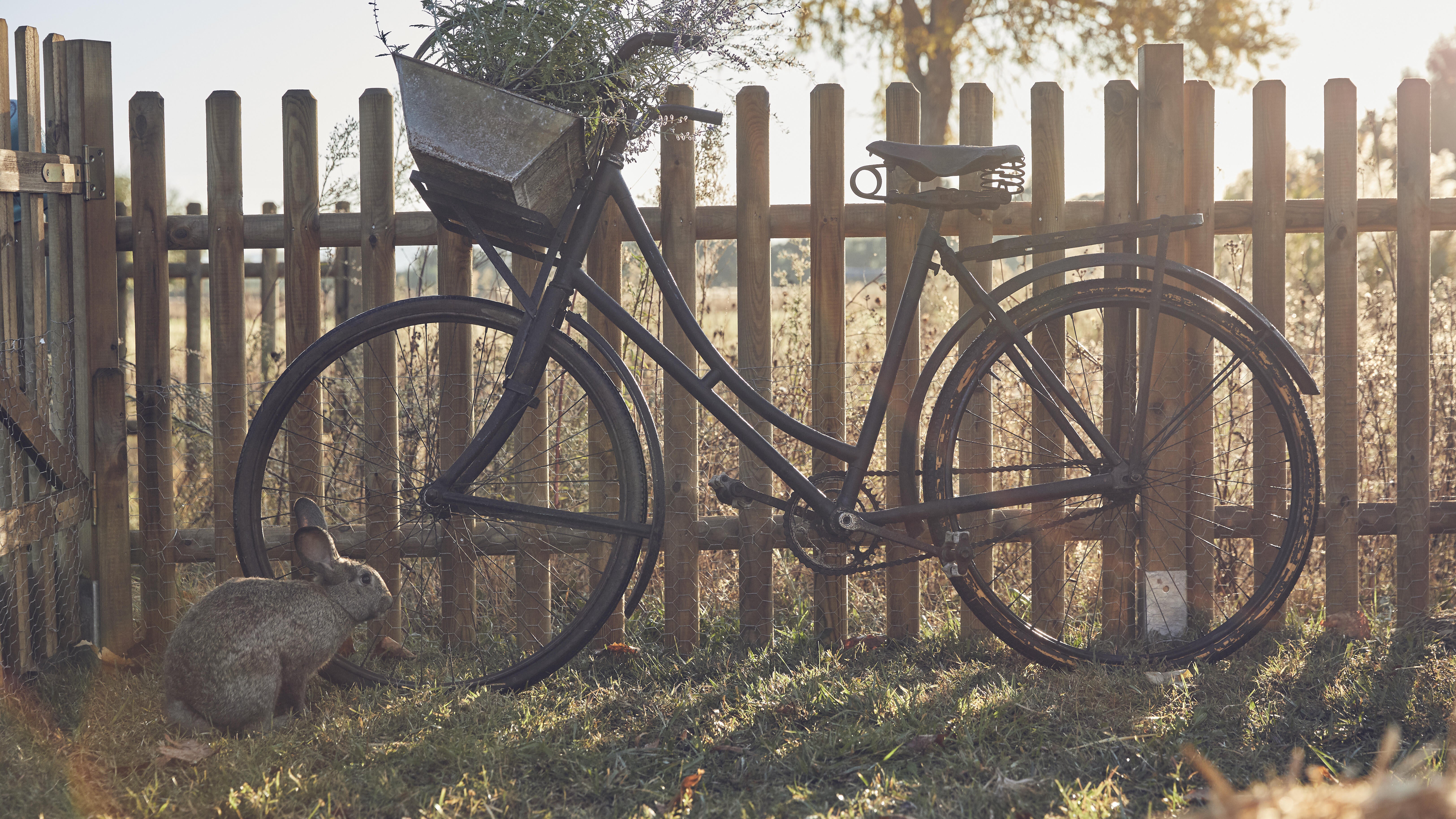Portillon battant Buffalo, CERLAND, l.100 x H.100 cm, naturel - 4