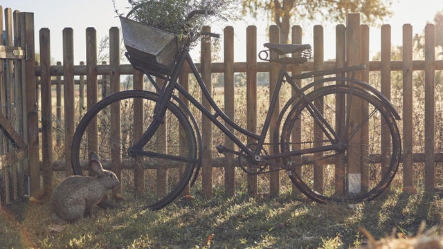 Clôture jardin bois Buffalo, CERLAND, H.100 x l.180 cm, naturel