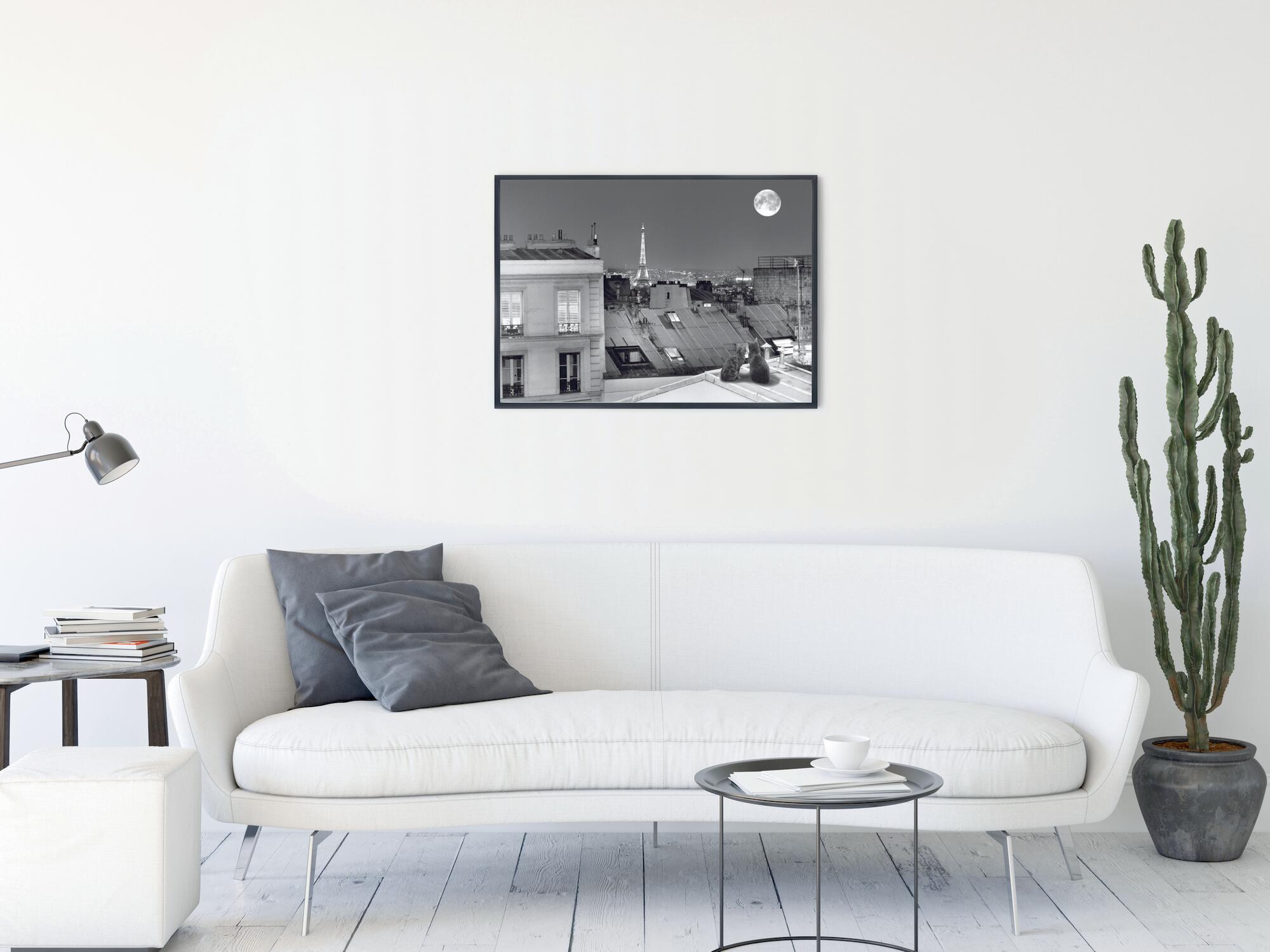 Affiche La Tour Eiffel vue des toits de Paris, noir & blanc EDITIONS BRAUN l.70  - 2