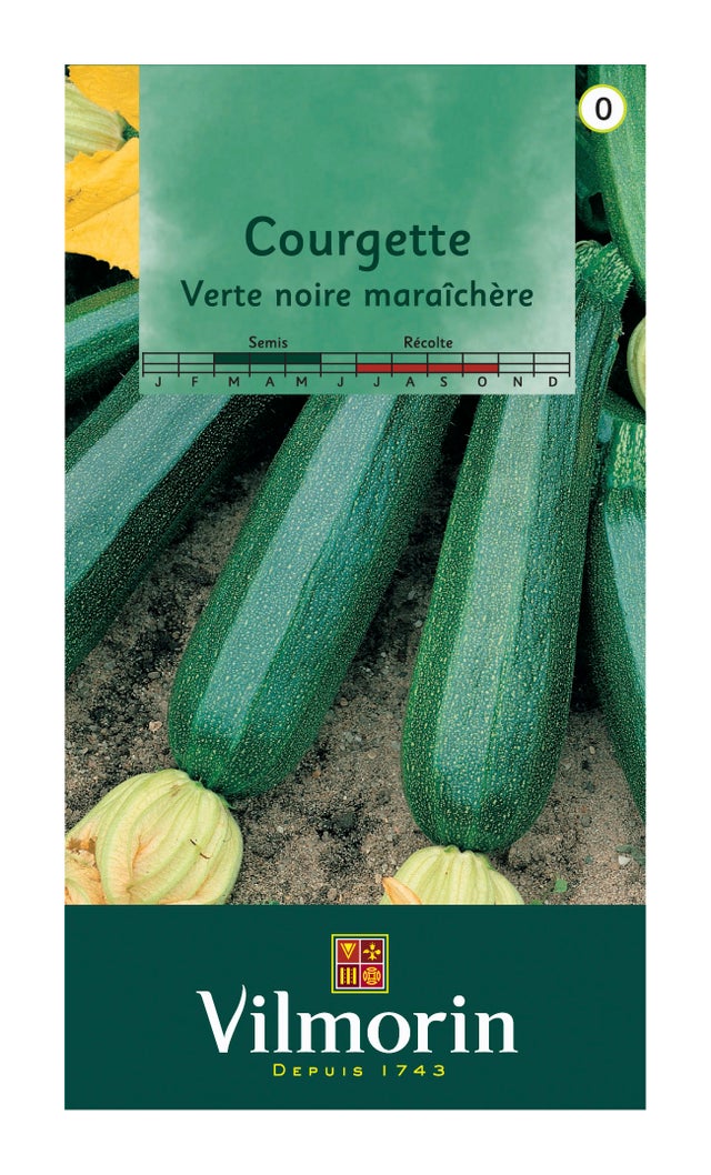 Graines de courgette VILMORIN 4 g