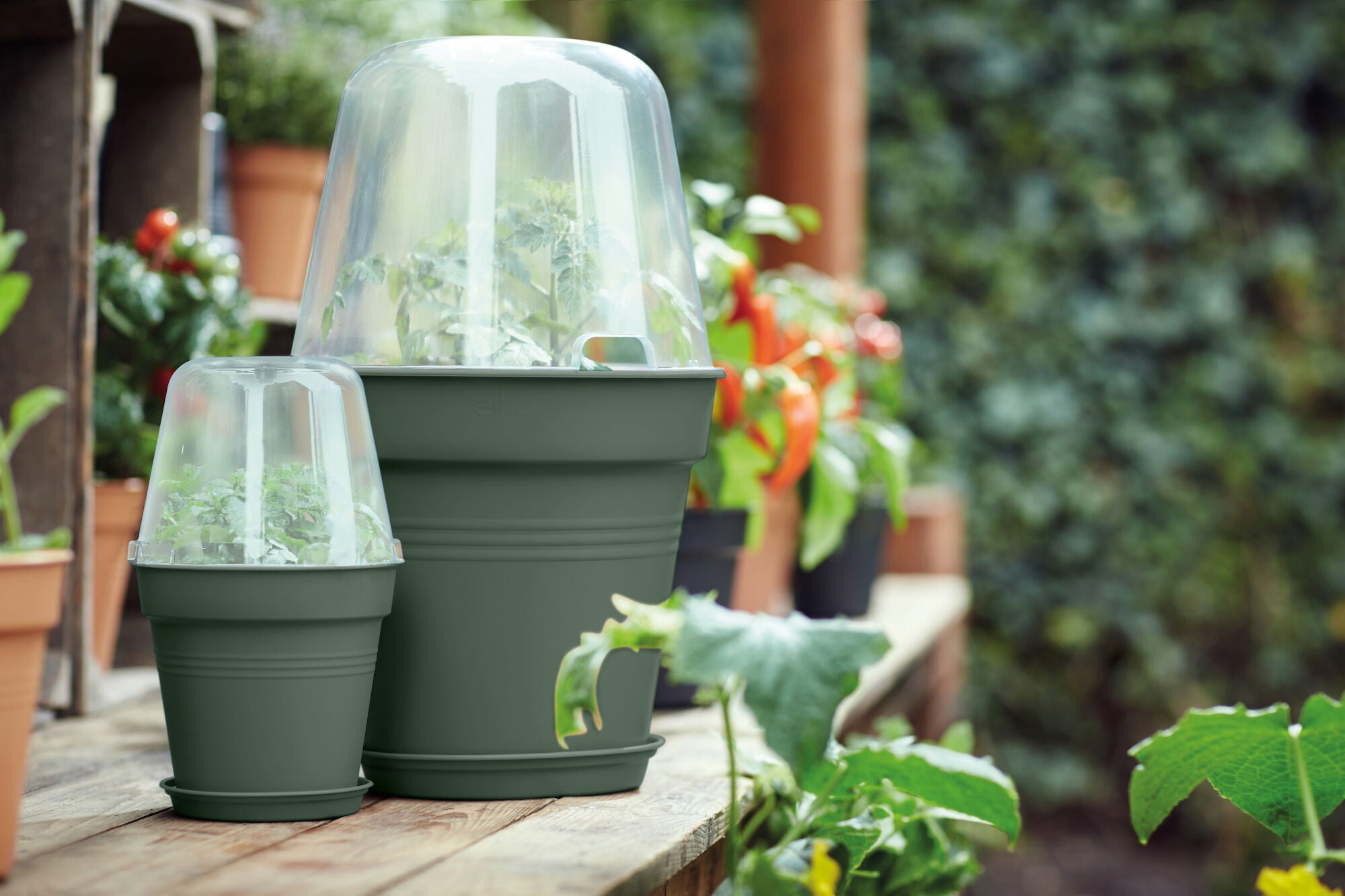 Vaso Basics Growpot ELHO in polipropilene verde H 24.7 x ø 27 cm - 2