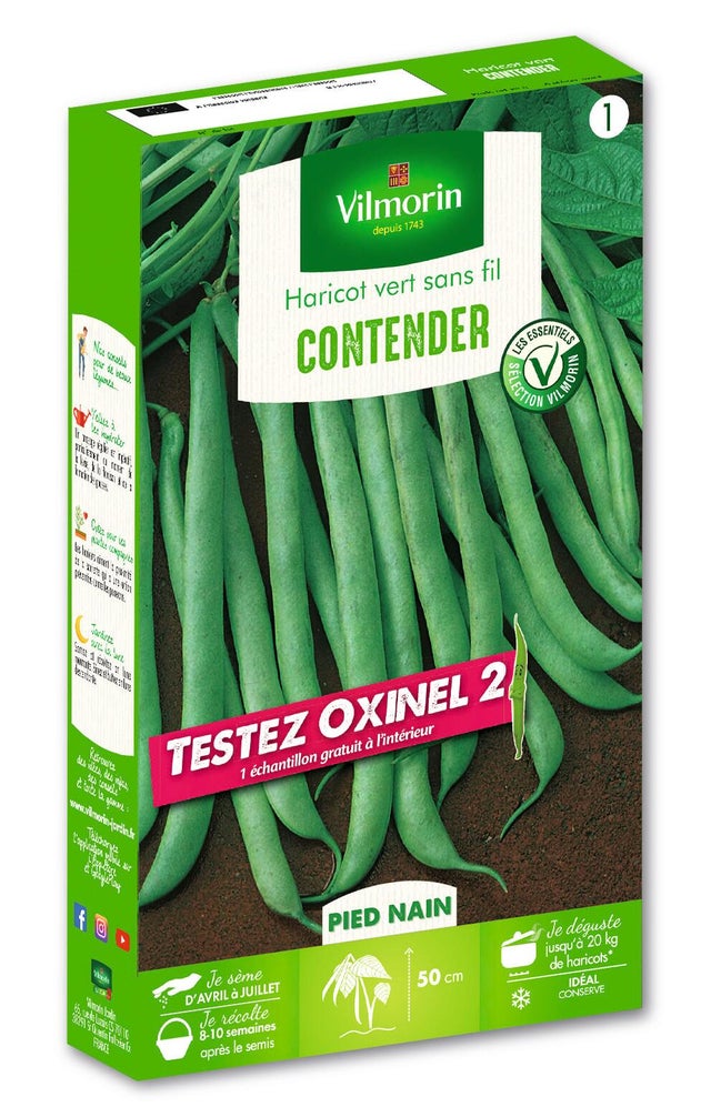 Graines de haricot VILMORIN 250 g